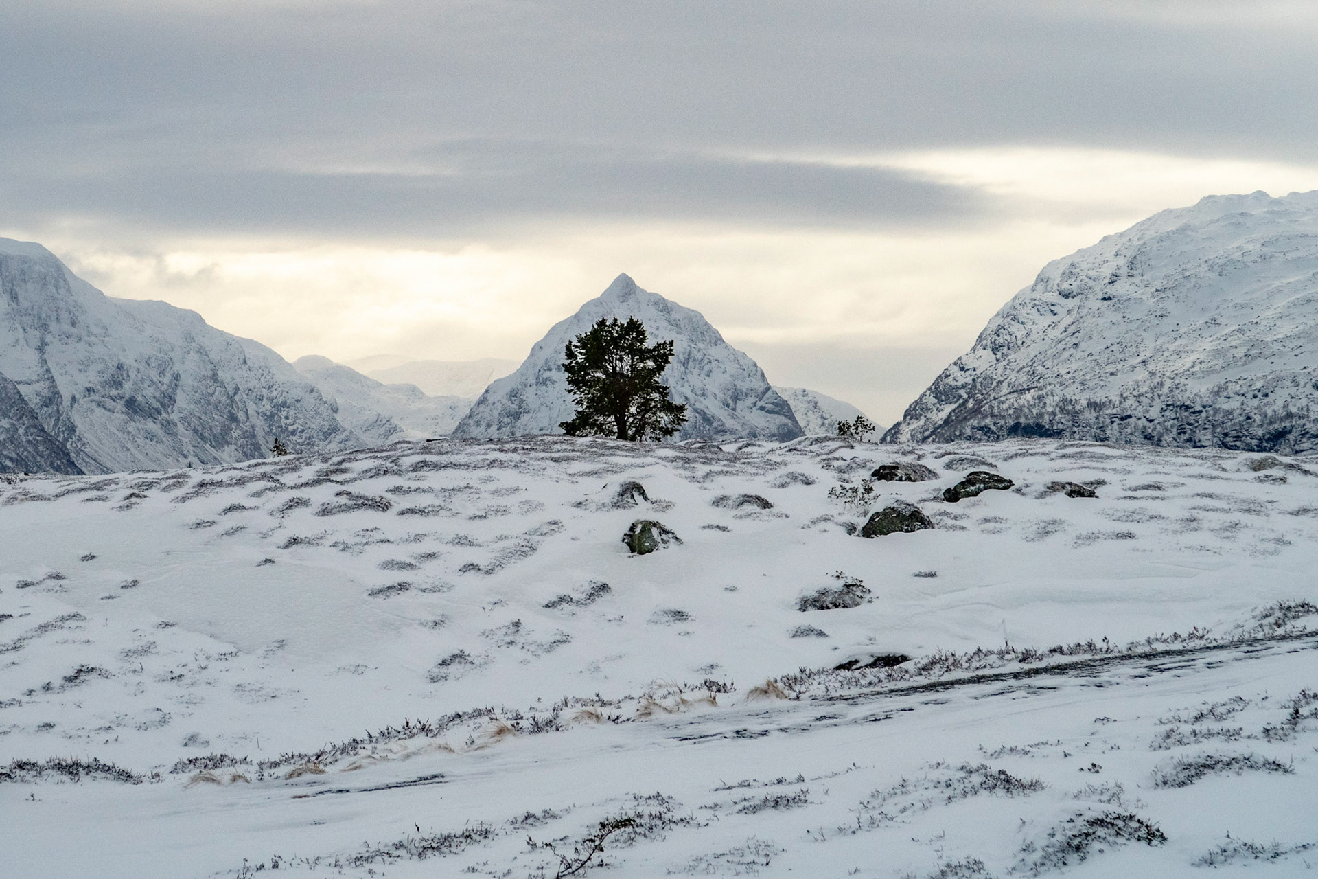 Eggjenibba fra Utvikfjellet
