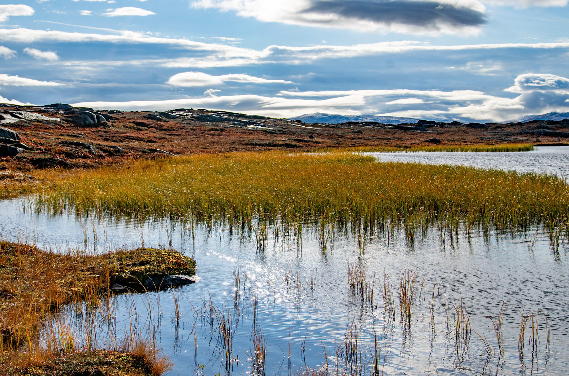 Kvernbekktjønna på Vora i Oppdal