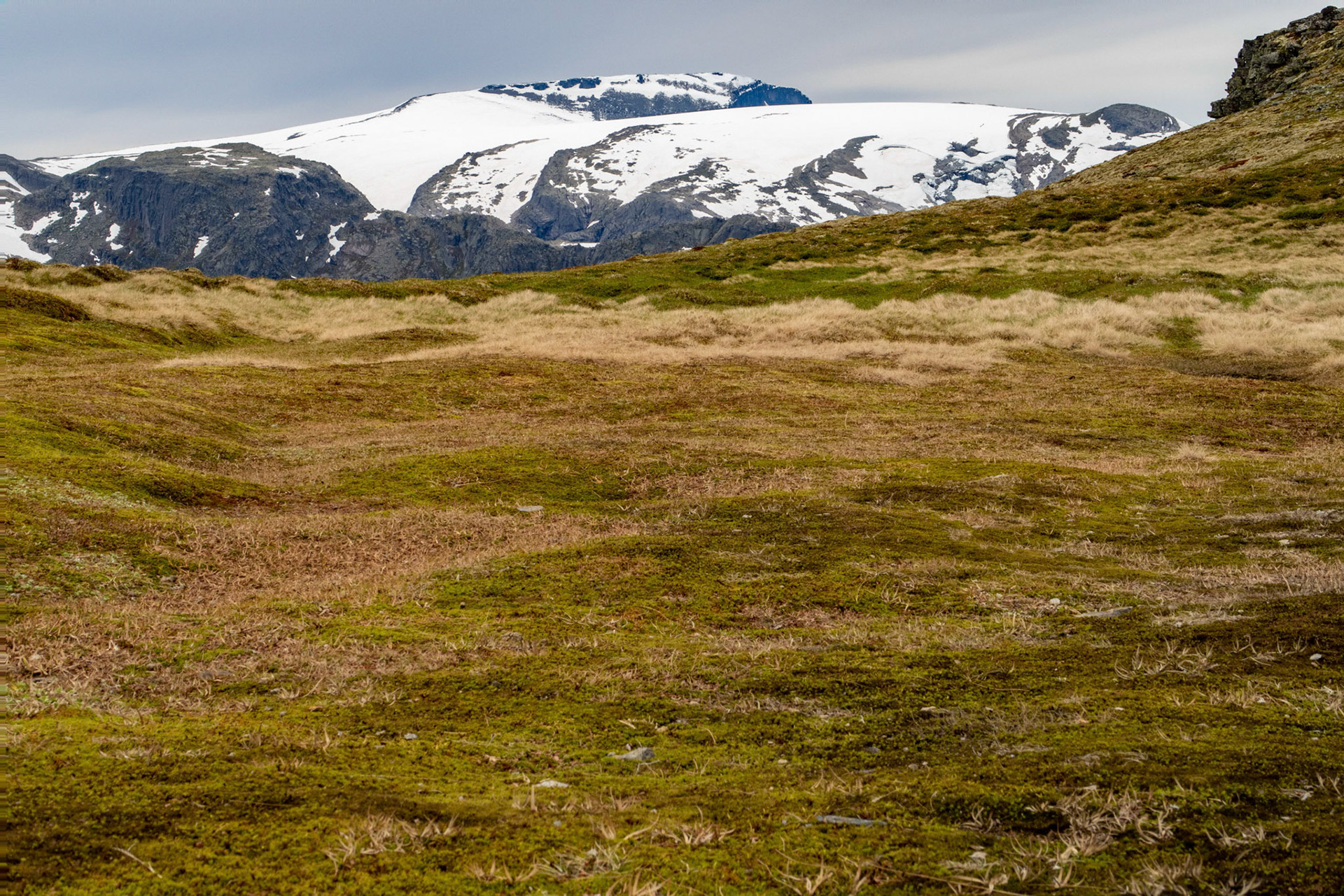 Gjegnen fra Osmundsnesskaret i Gloppen