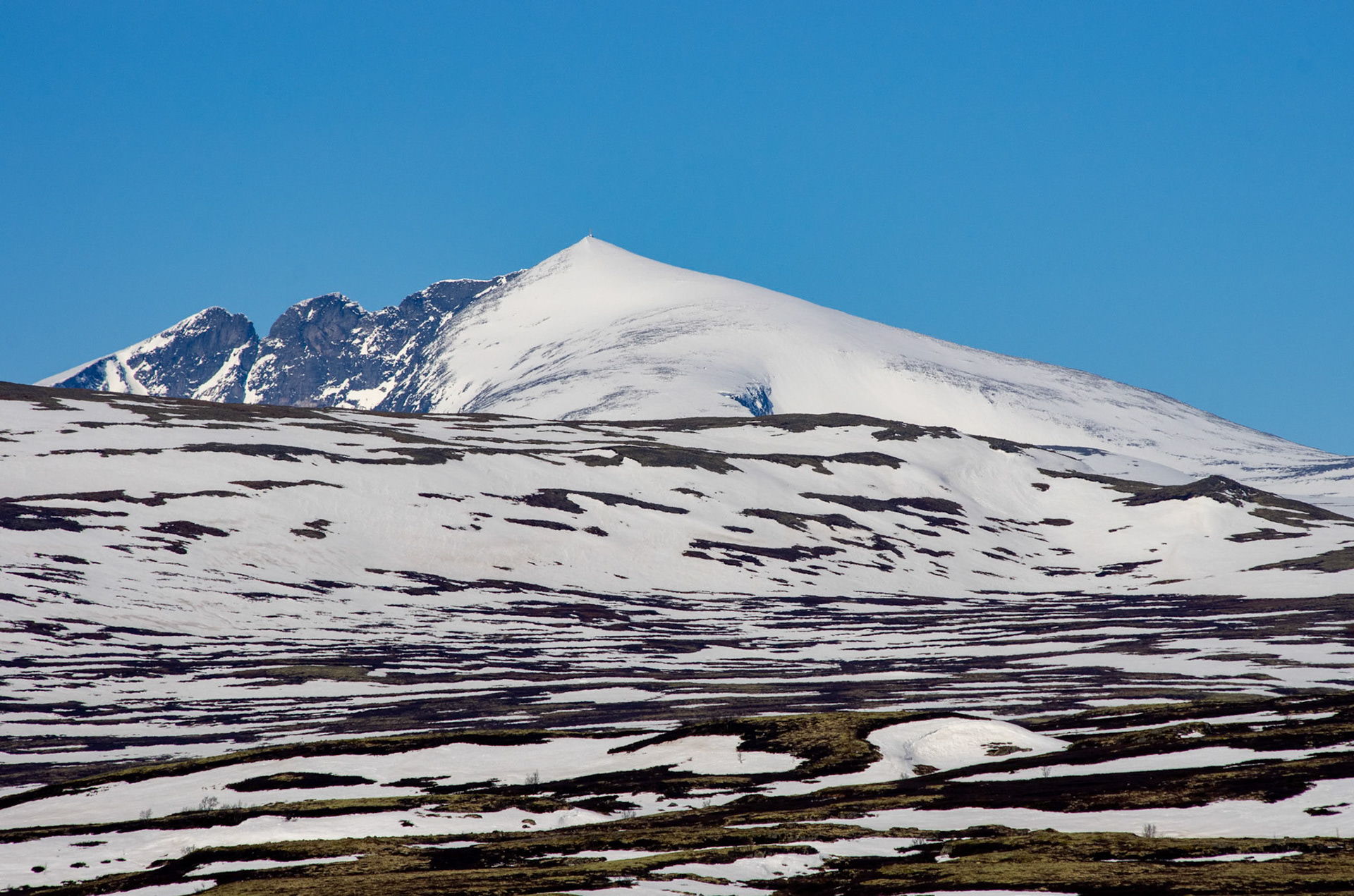 Snøhetta