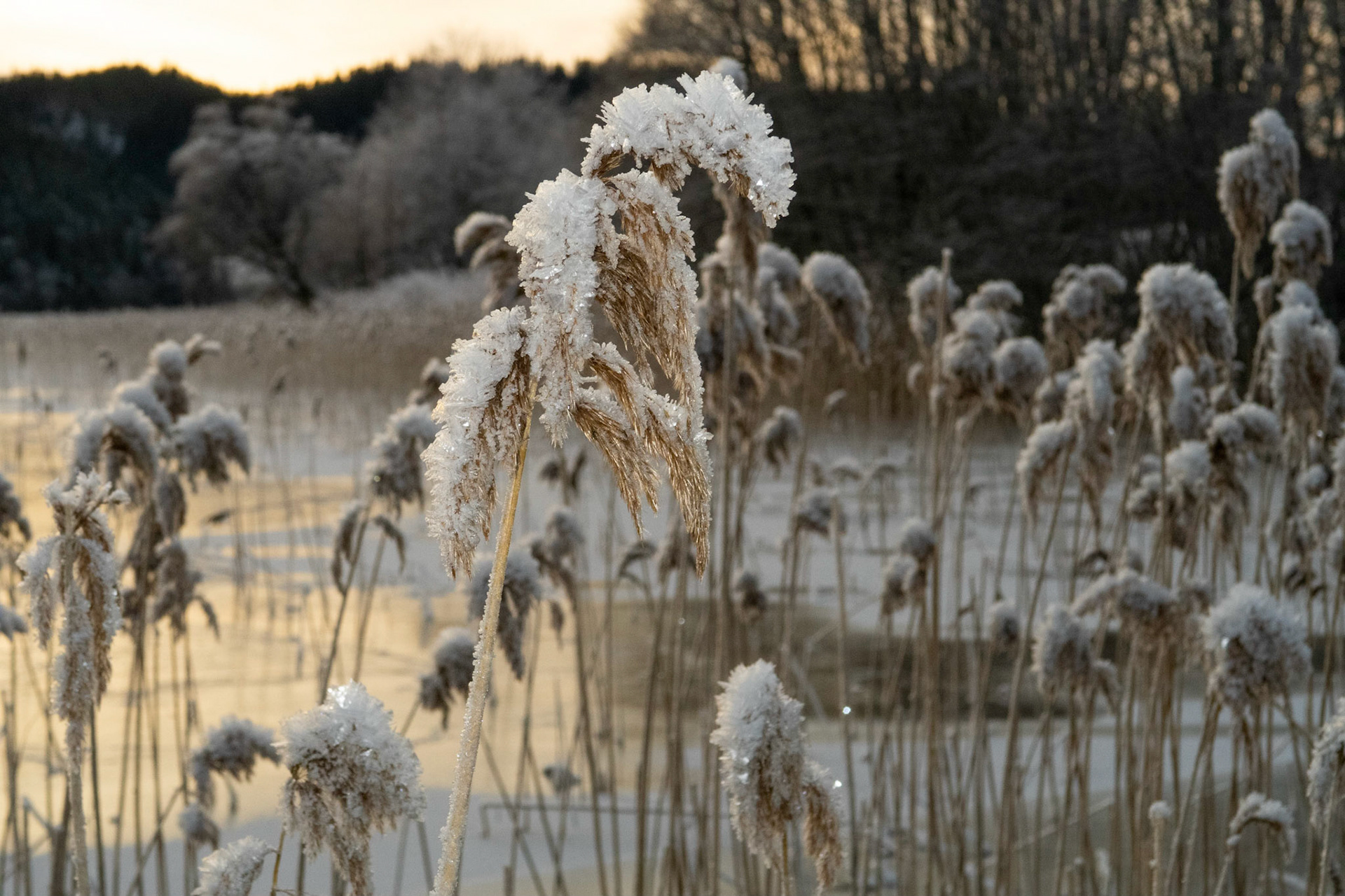 Jonsvatnet i Trondheim