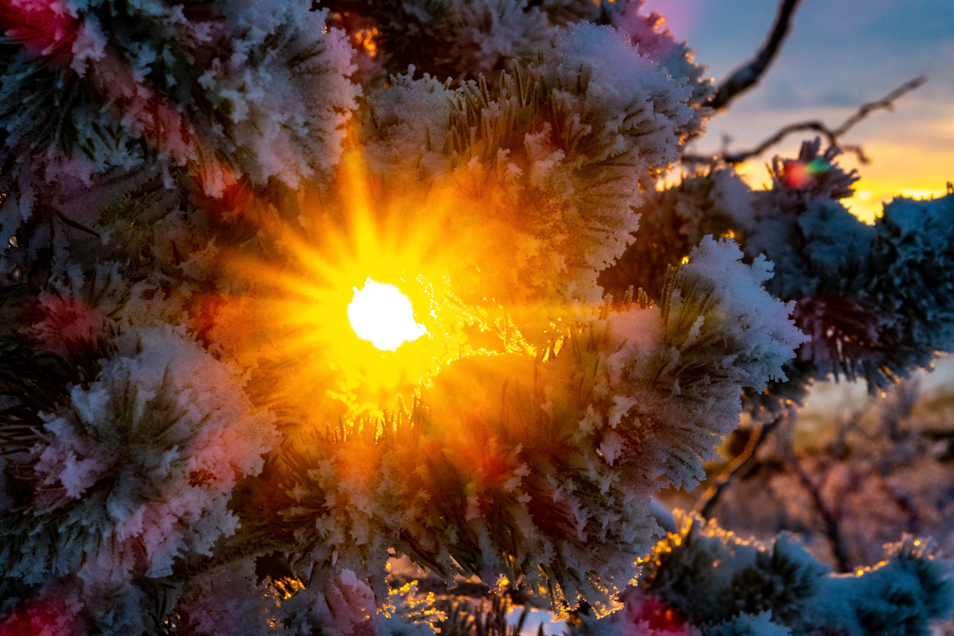 Grytdalsskaret i Oppdal