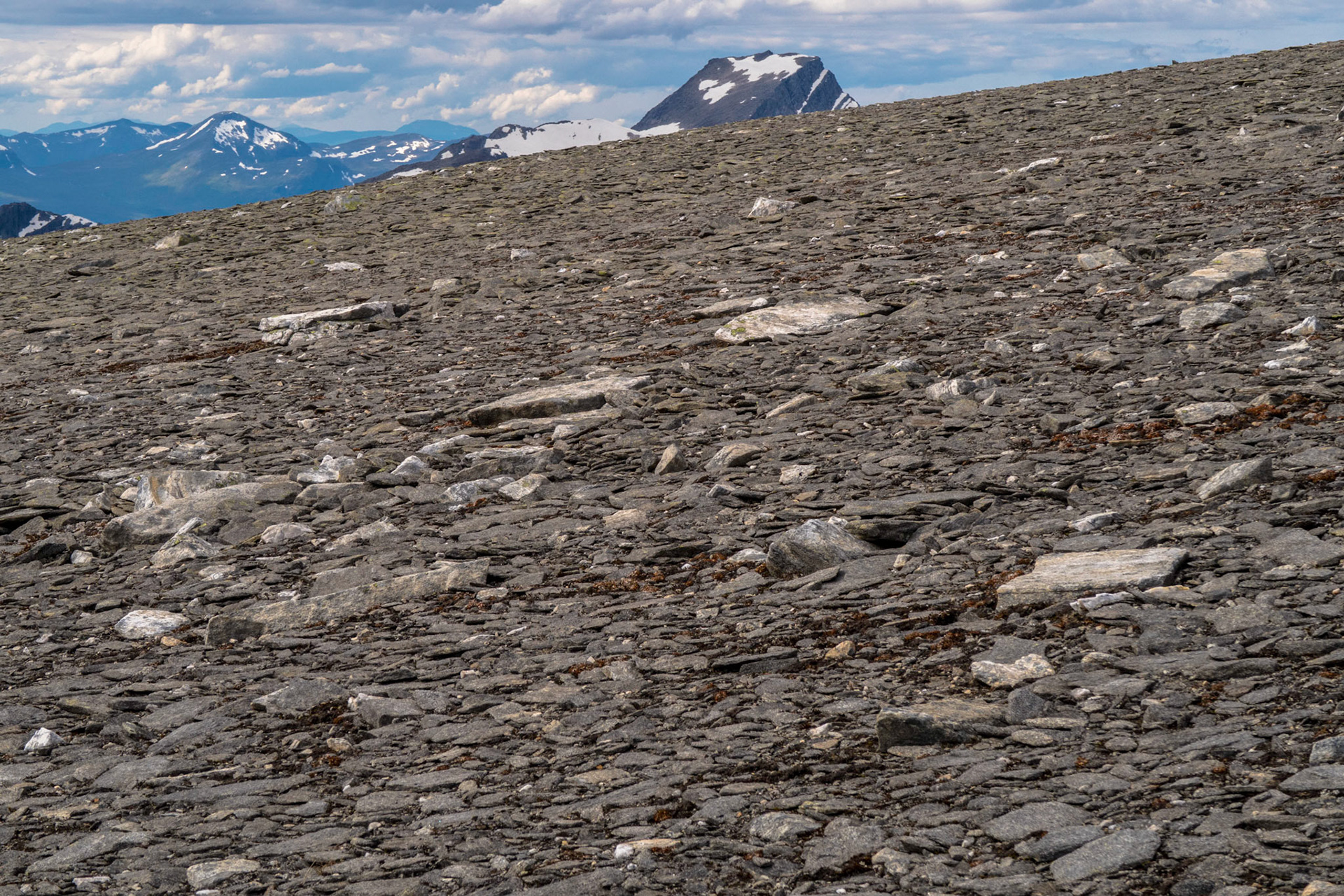 Neådalssnota fra Storlifjellet