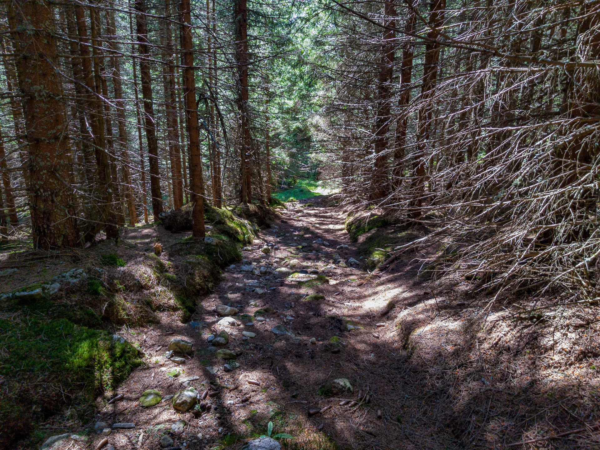 Ved Fjølestadstøylen