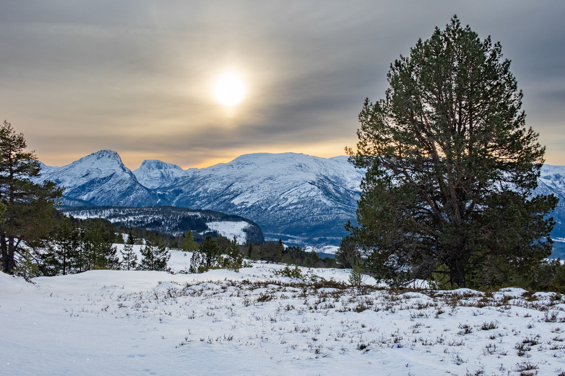 Ryssdalshornet, Skjorta og Storevarden
