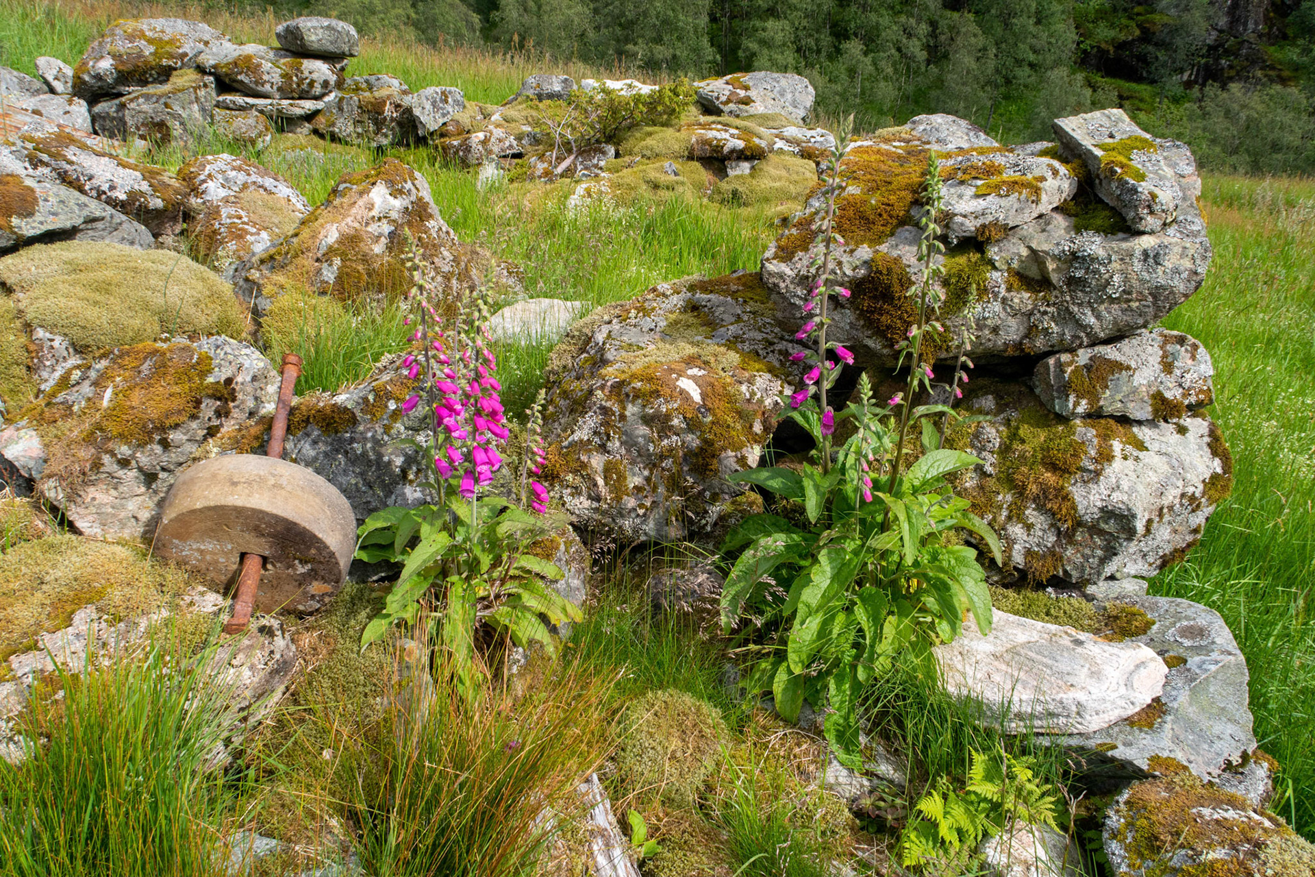 Øvre Fossdal i Fjaler