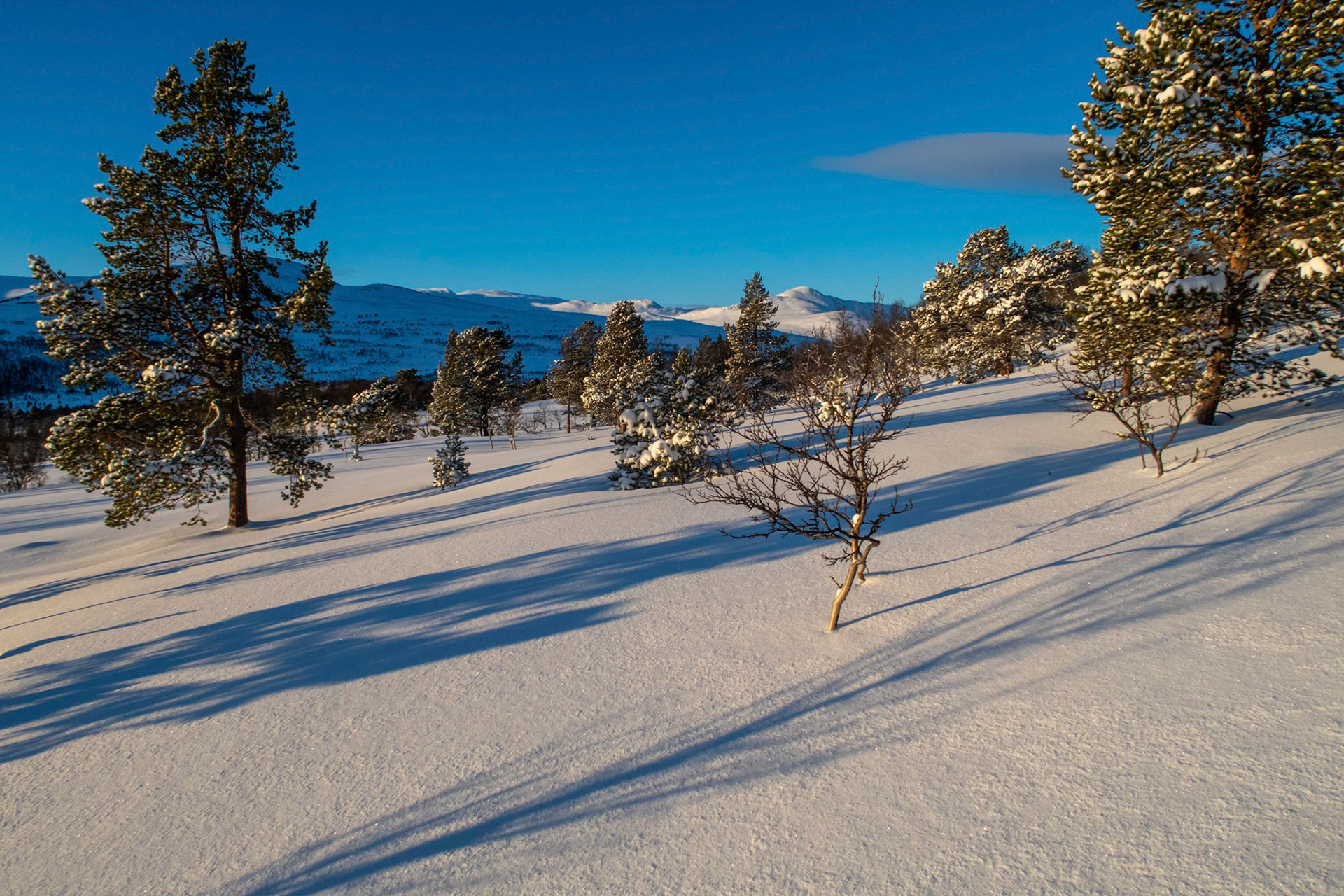 Grytdalsskaret mot Grythatten