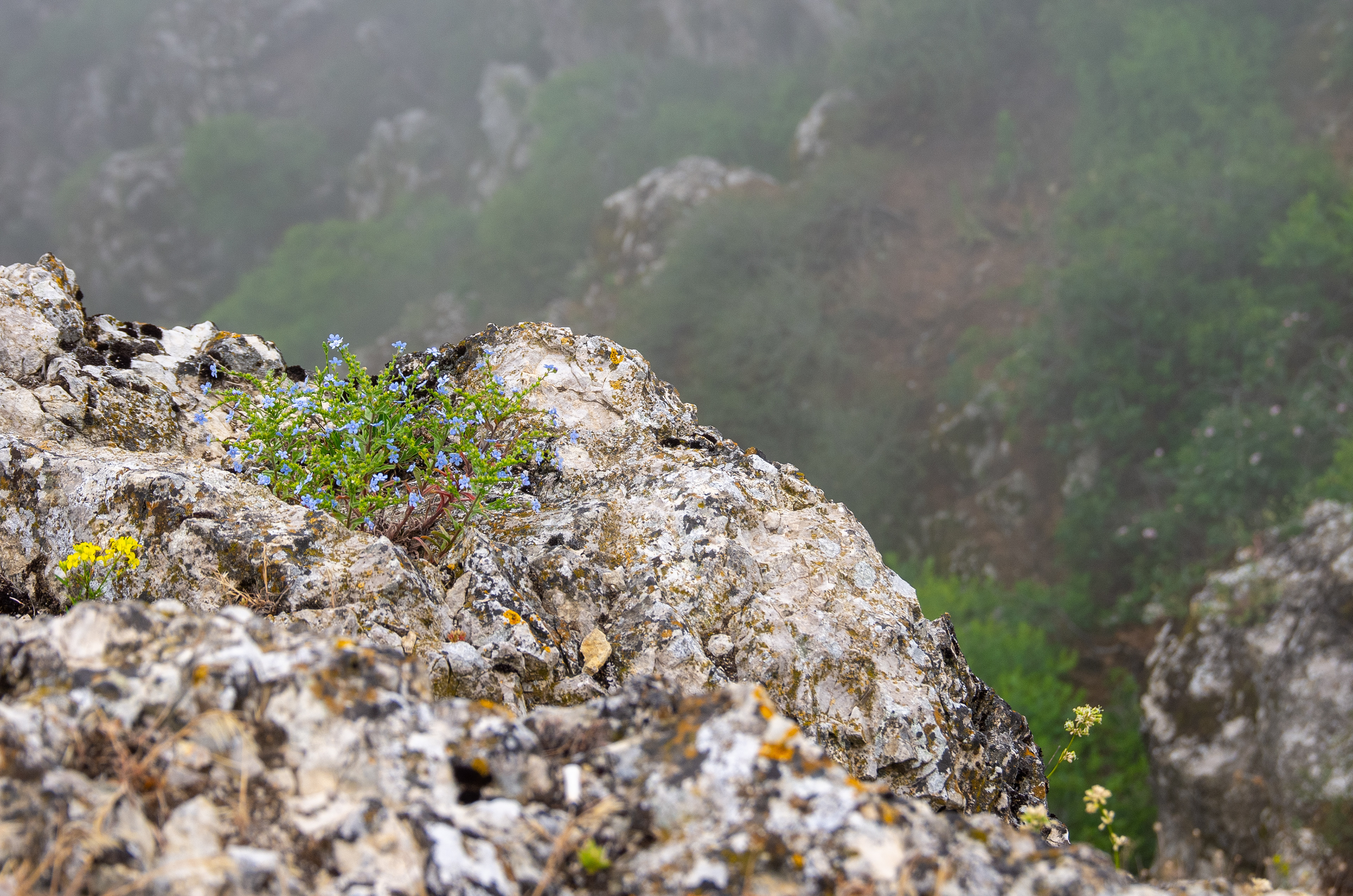 Five finger mountain