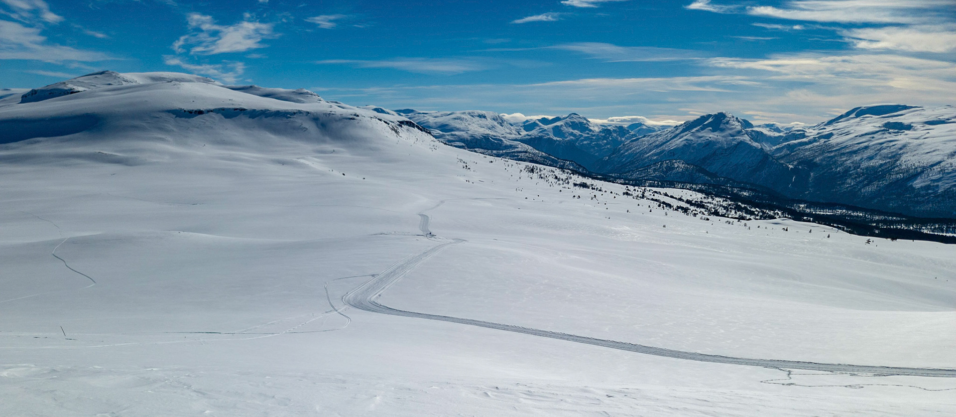 Eggene fra Haugsvardeb