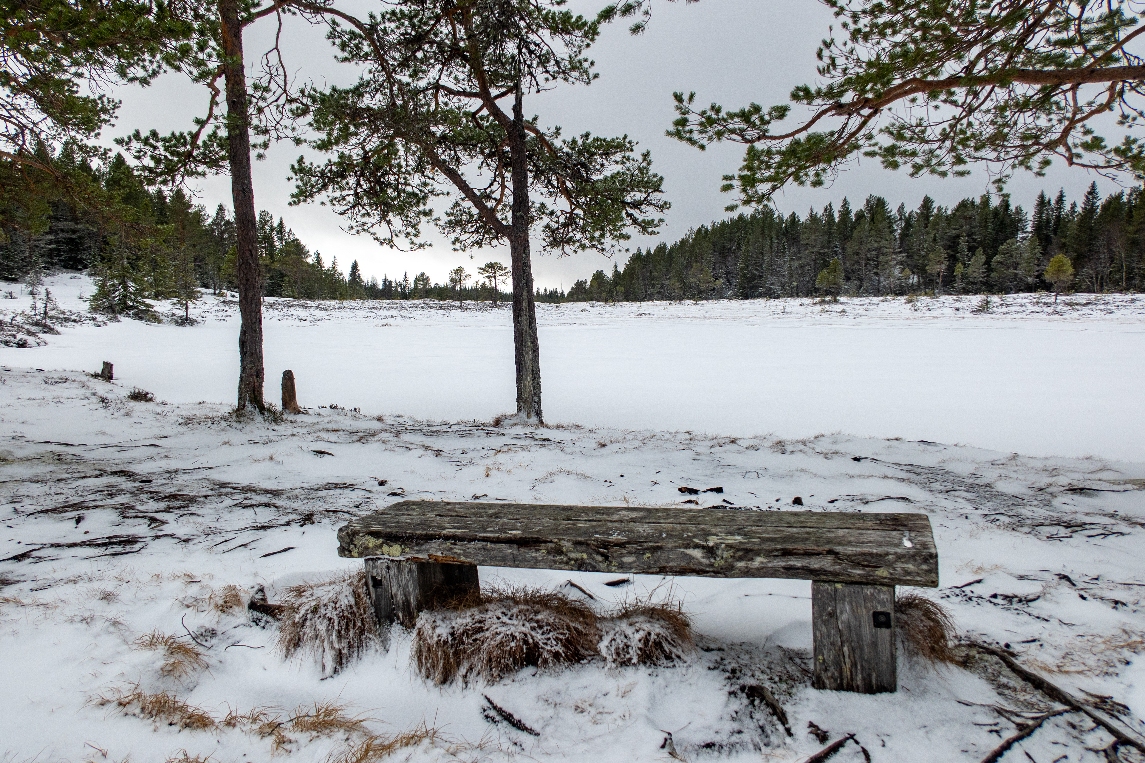 Lomtjønna i Estenstadmarka