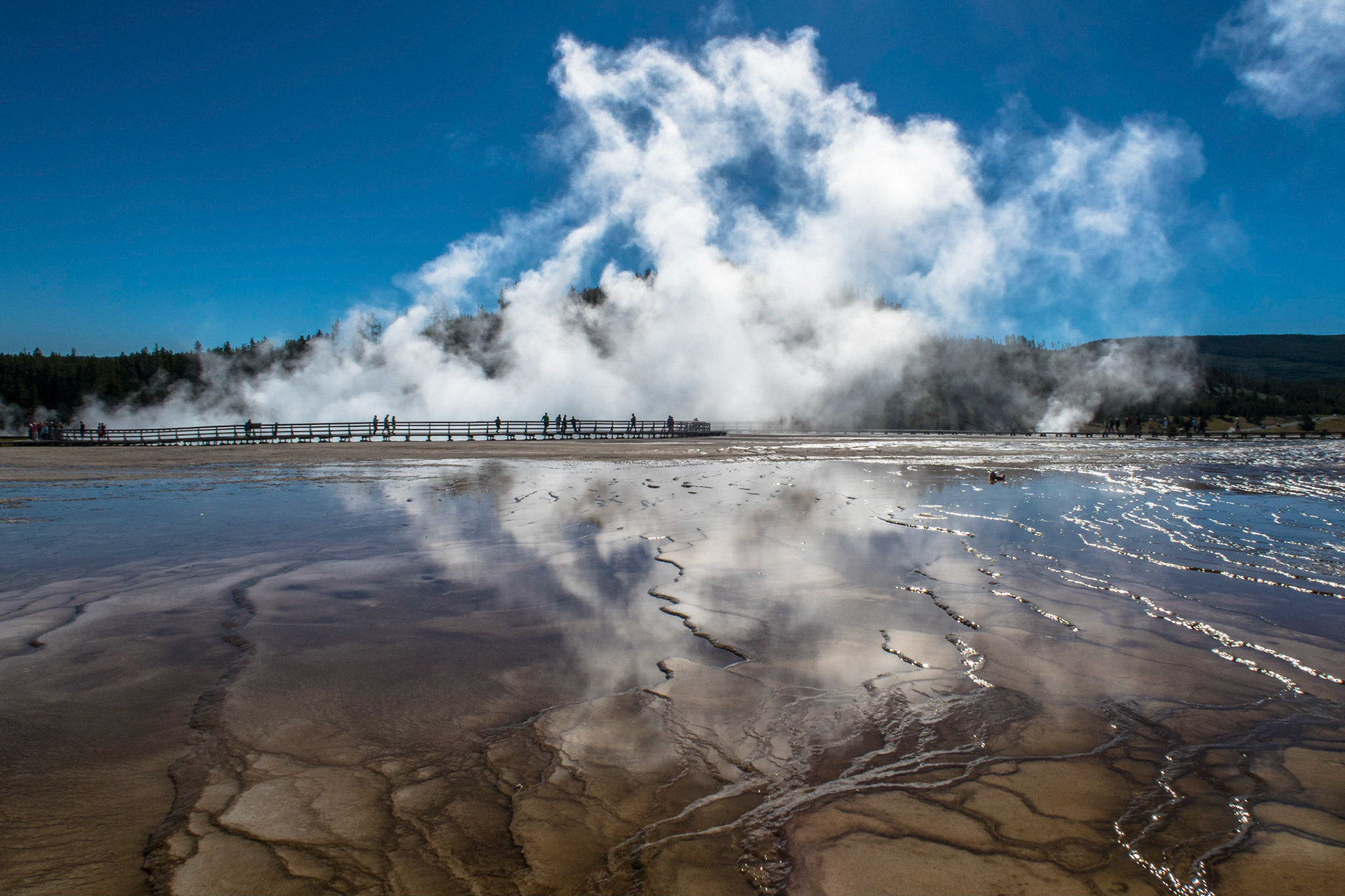 Grand prismatic spring i Yellowstone