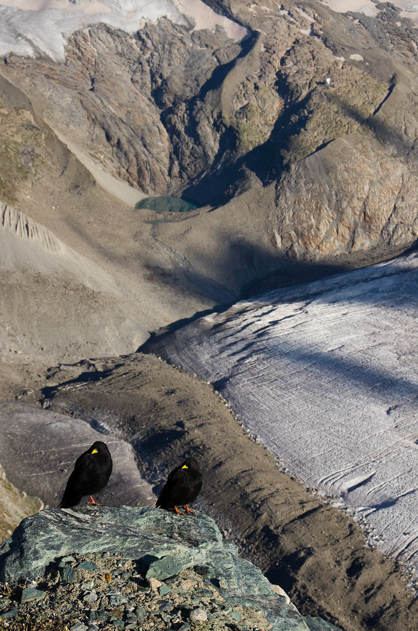 Gornergrat