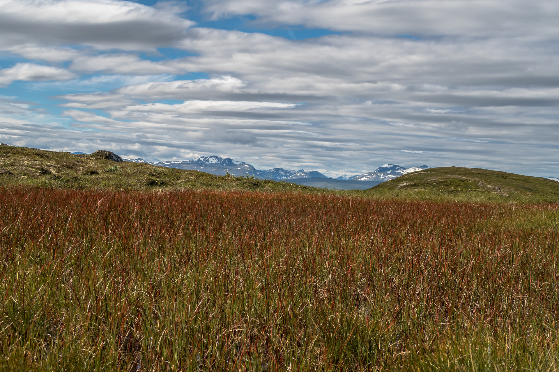 Trollheimen fra Igelfjellet