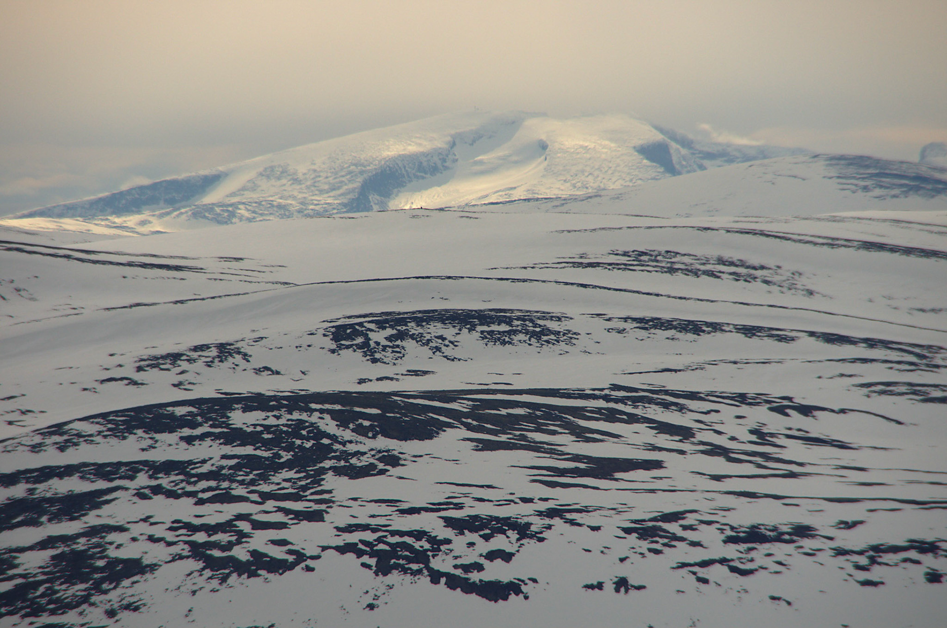 Fra Falkfangerhø i april