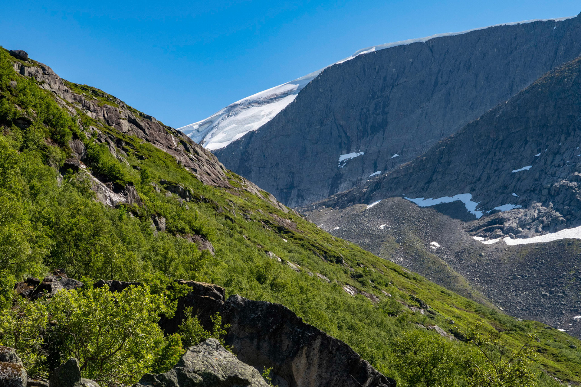 Jostebotnen fra Haugadalen i Jølster