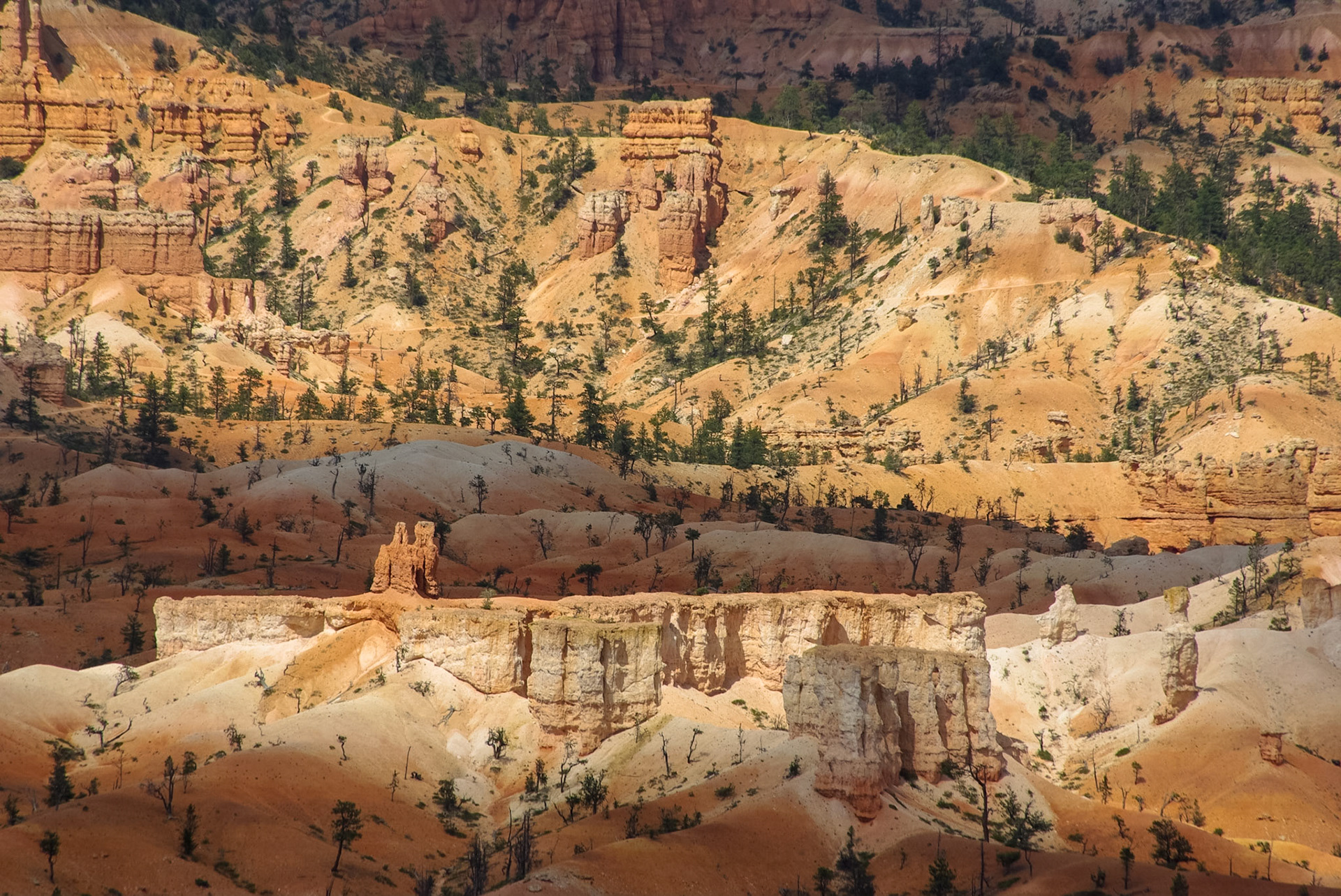 Bryce canyon