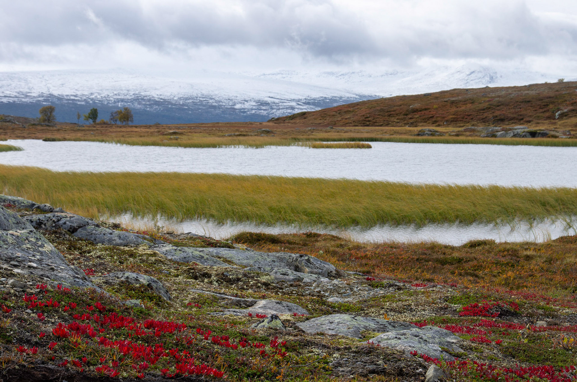 Kvernbekktjønna i Oppdal