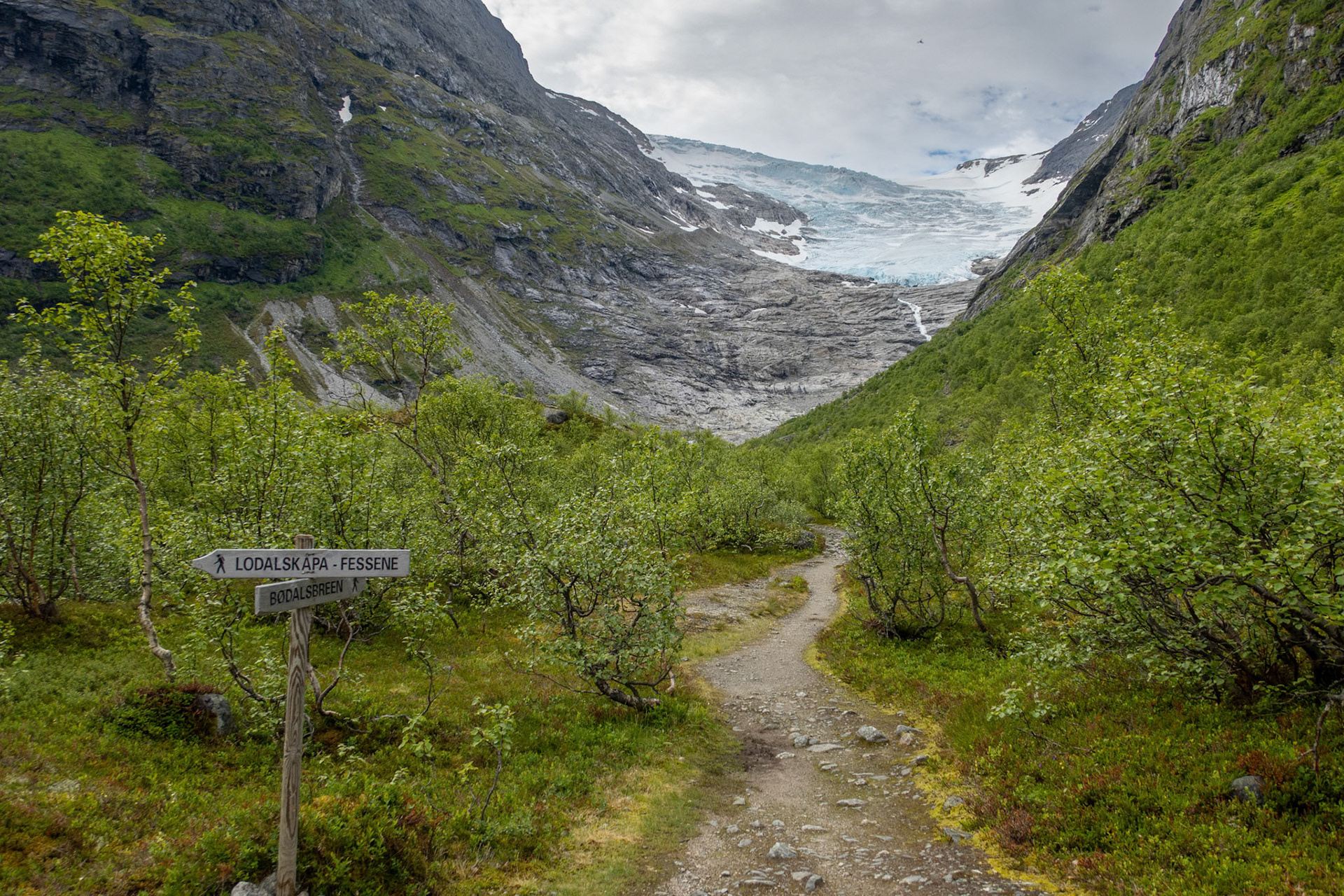 Bødalsbreen