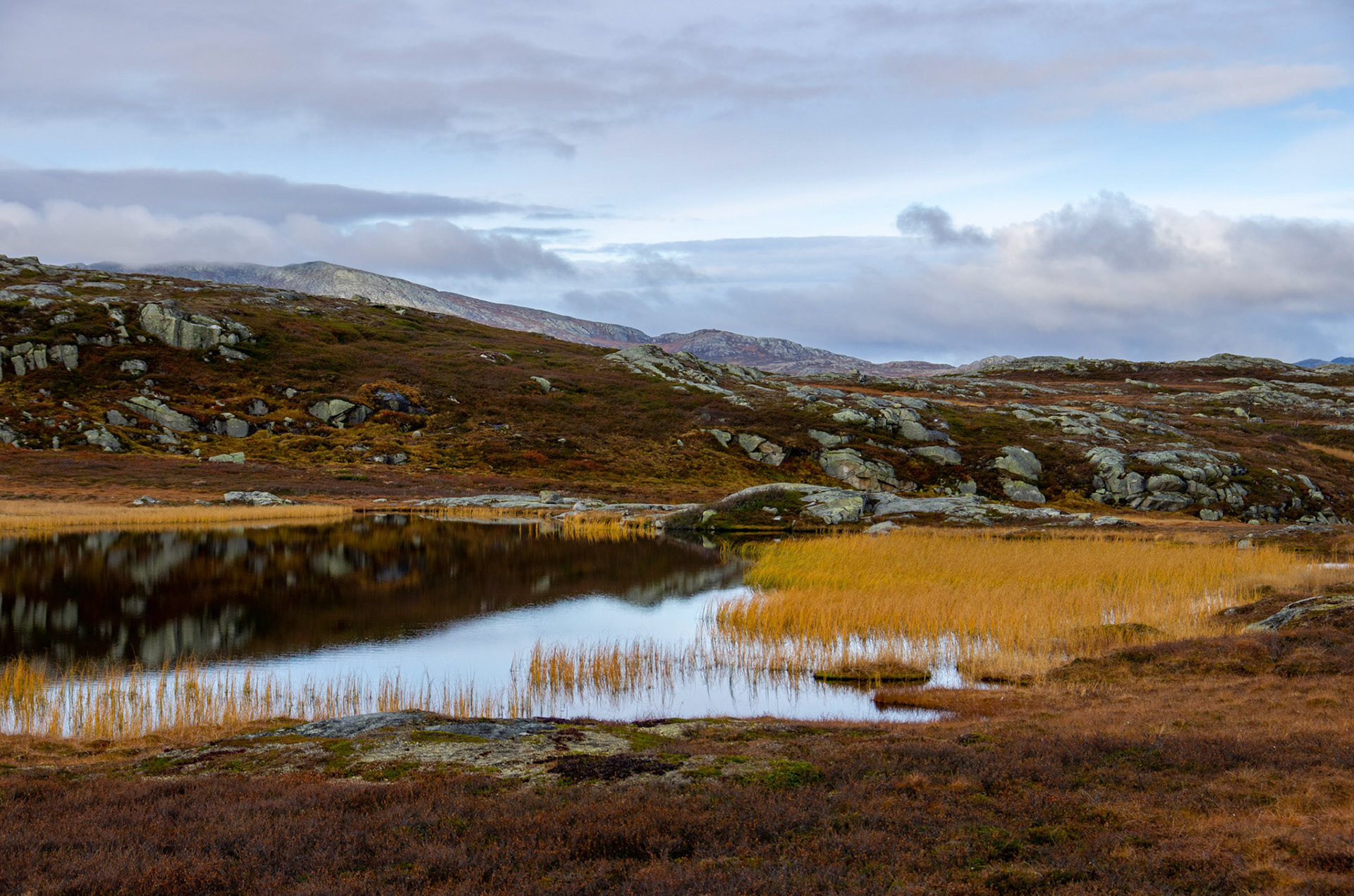 Kvernbekktjønna på Vora i Oppdal