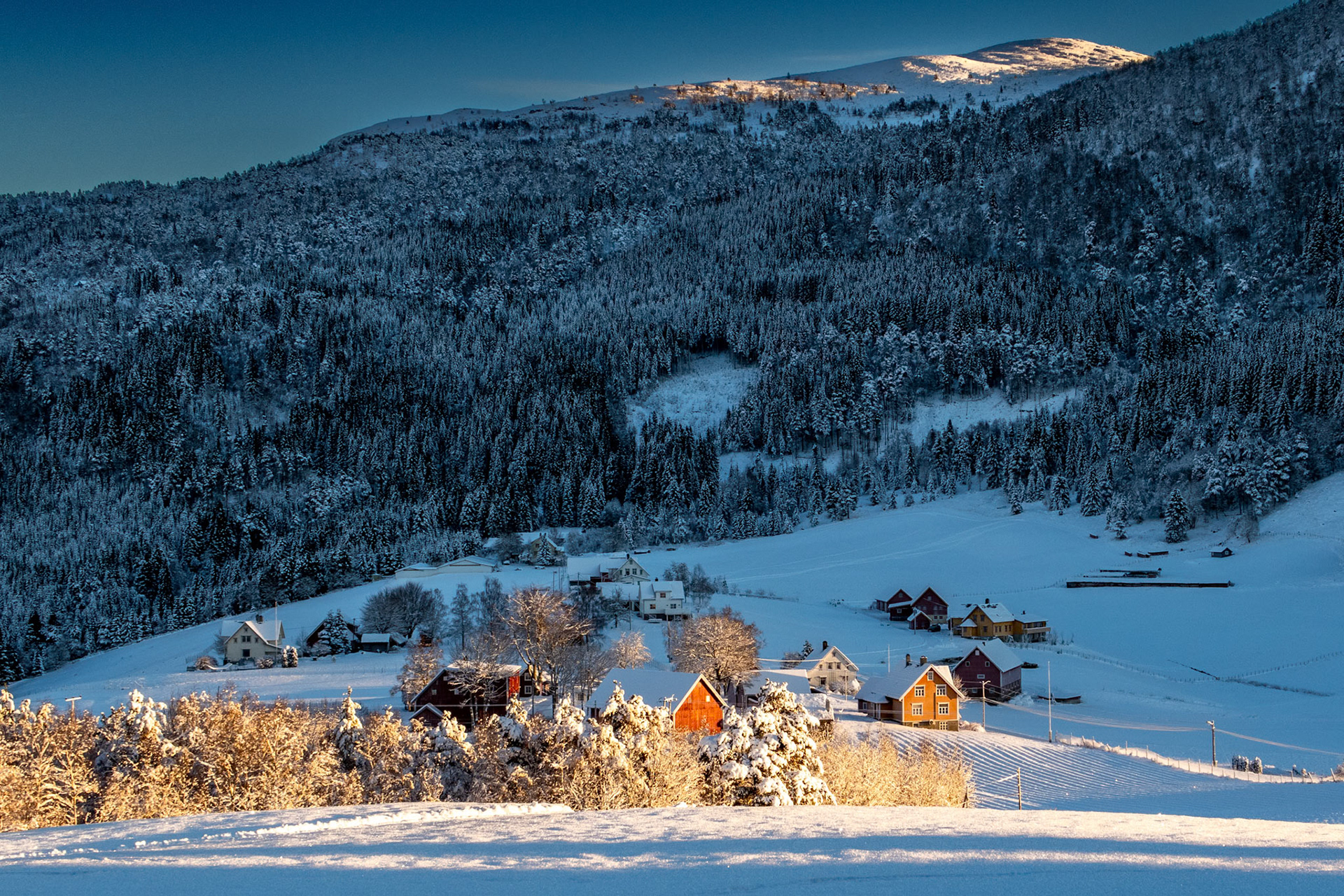 Føleide og Haugsvarden