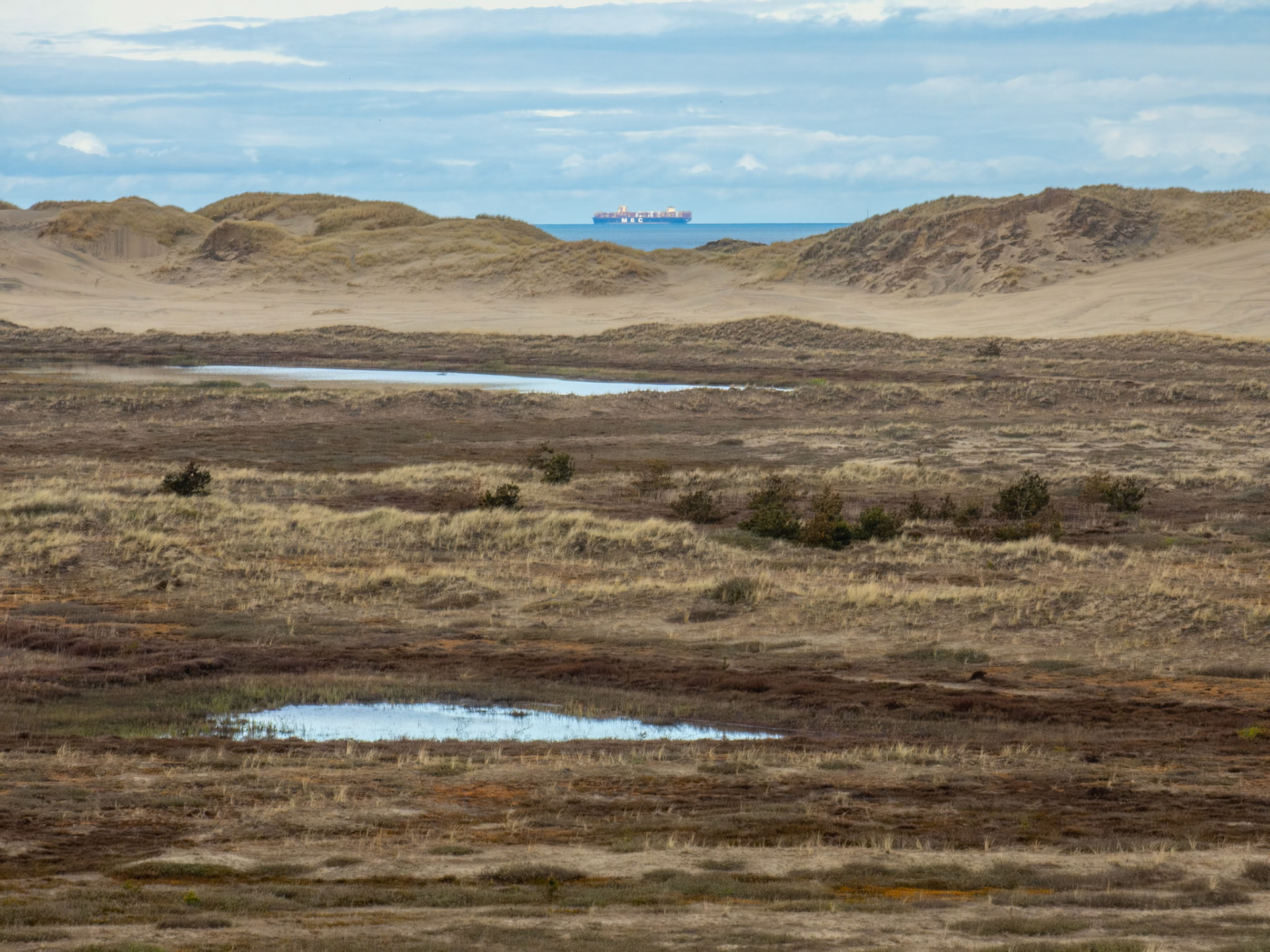Skagen