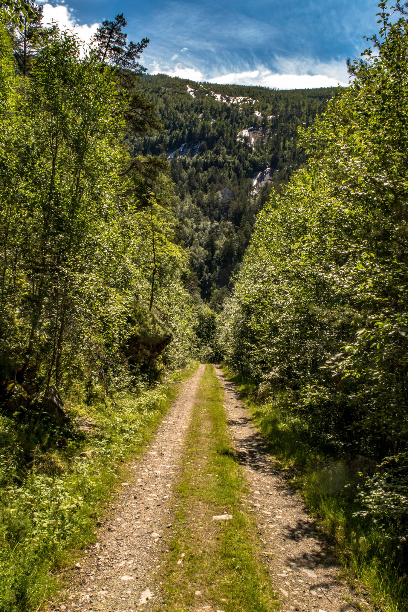 Veien til Ryssdalsstøylen