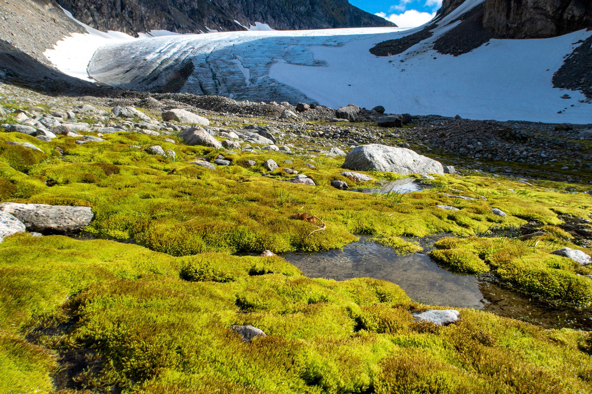 Sørsendalsbreen i Gloppen