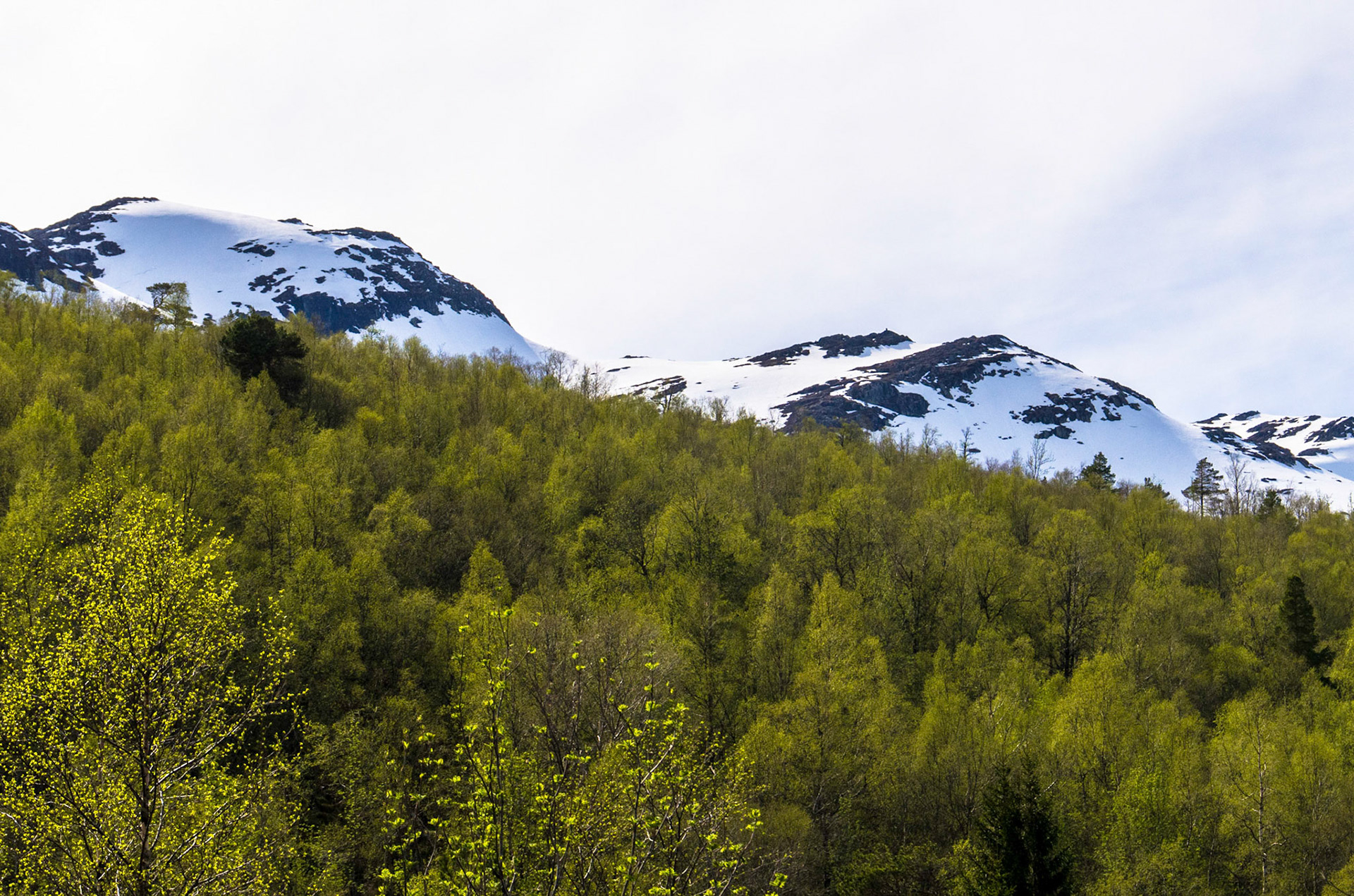 Langedalen i Gloppen