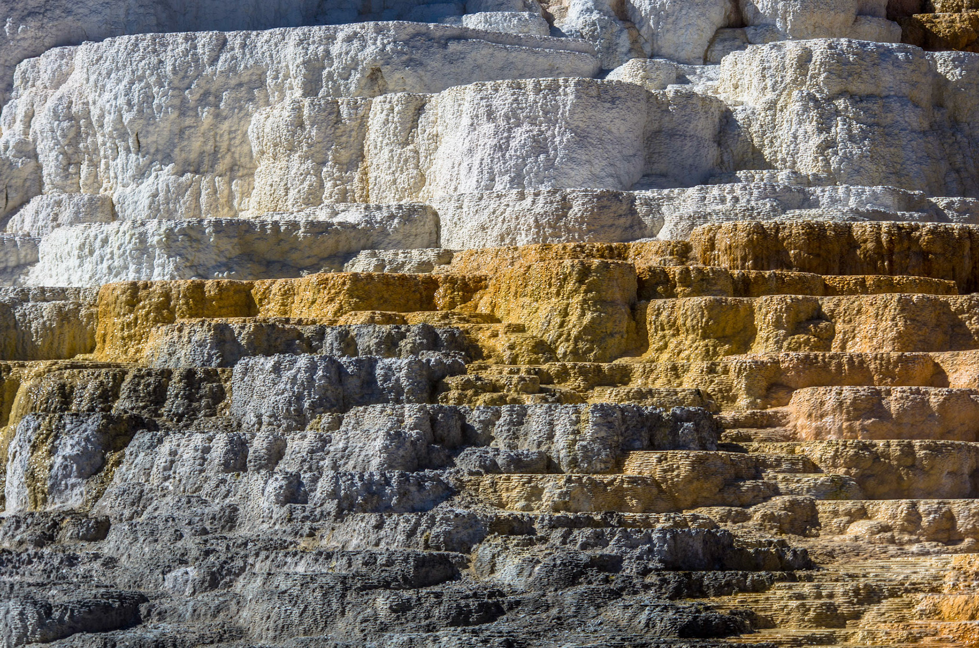 Mammoth hot springs, Yellowstone