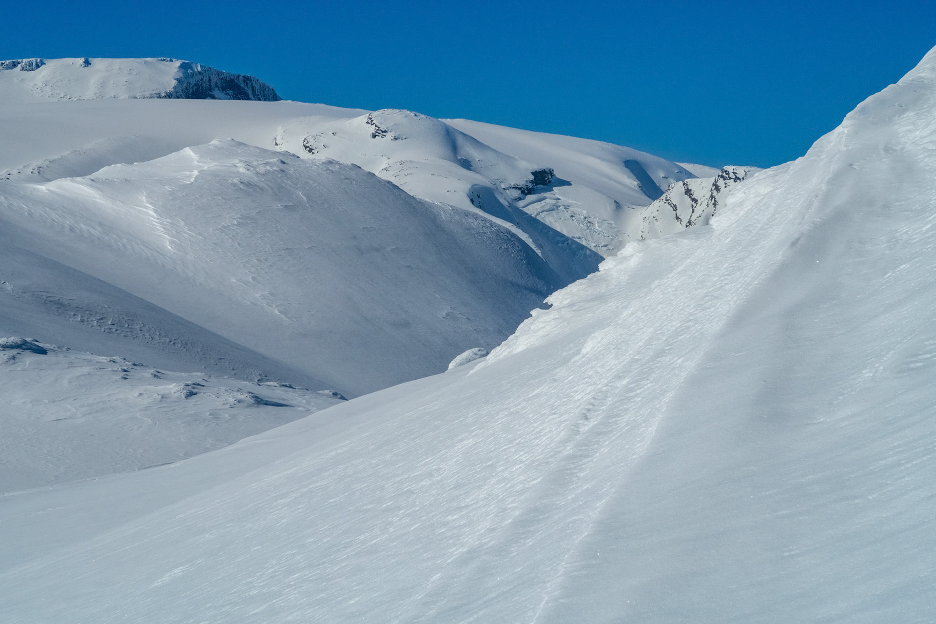 Gjegnen fra Reinekallen