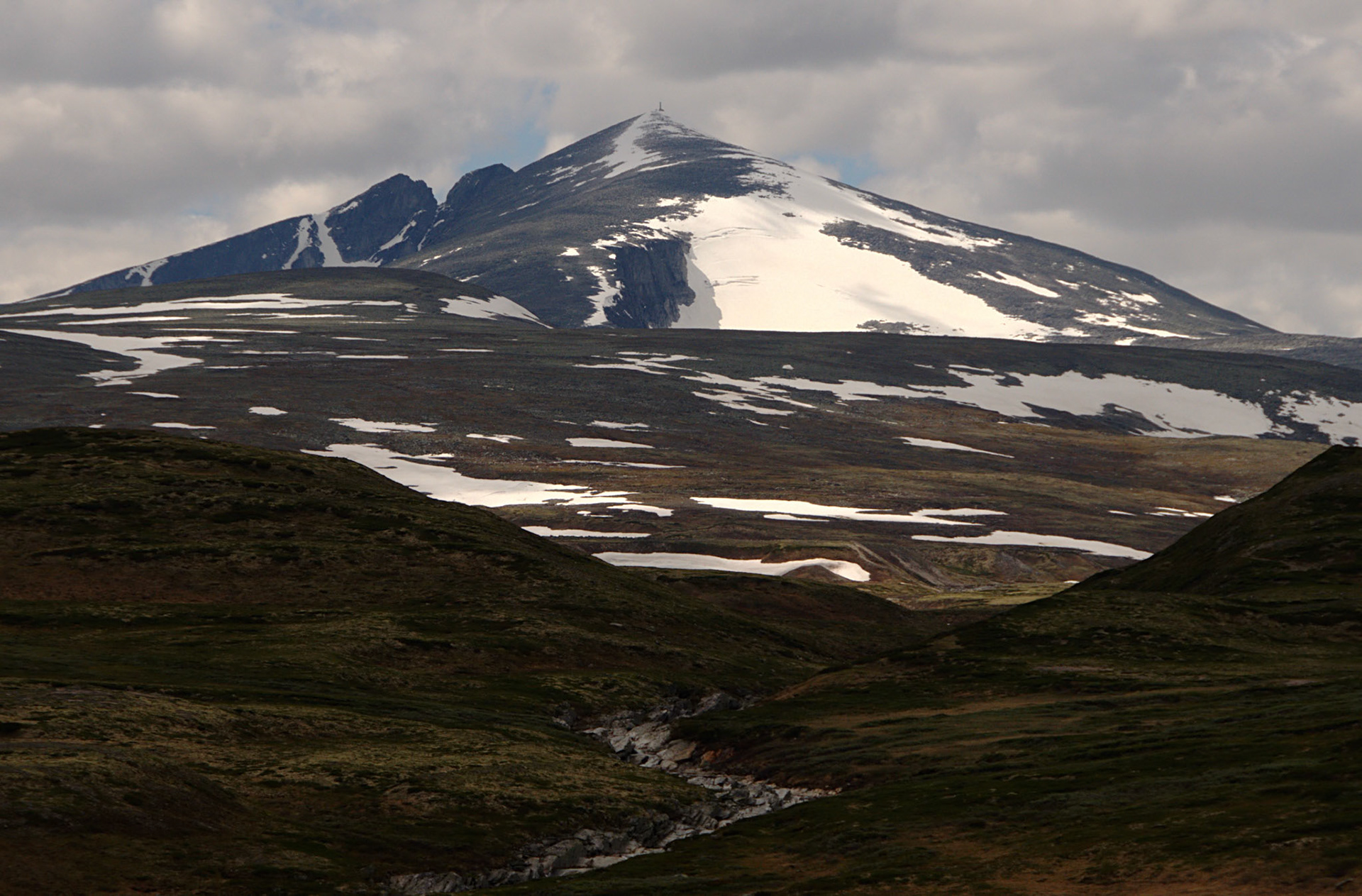 Snøhetta