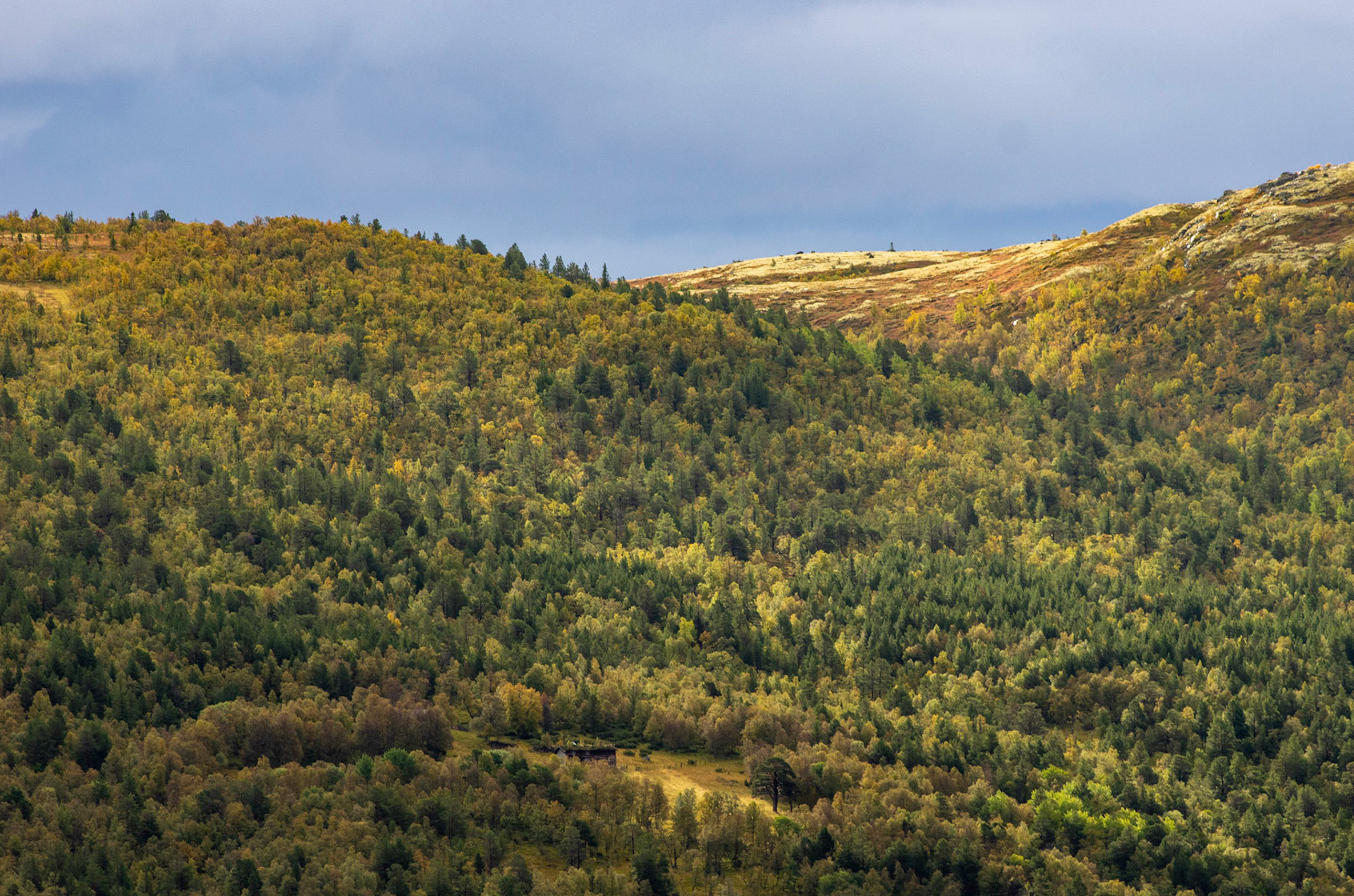 Mot Veslnøsen fra Vora i Oppdal