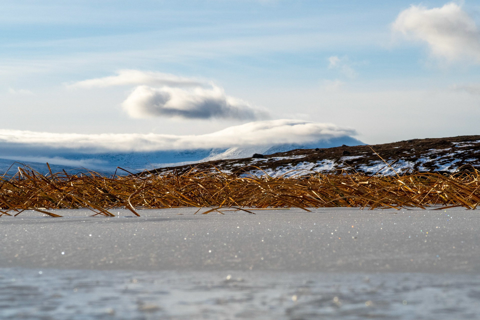 Kvernbekktjønna på Vora i Oppdal