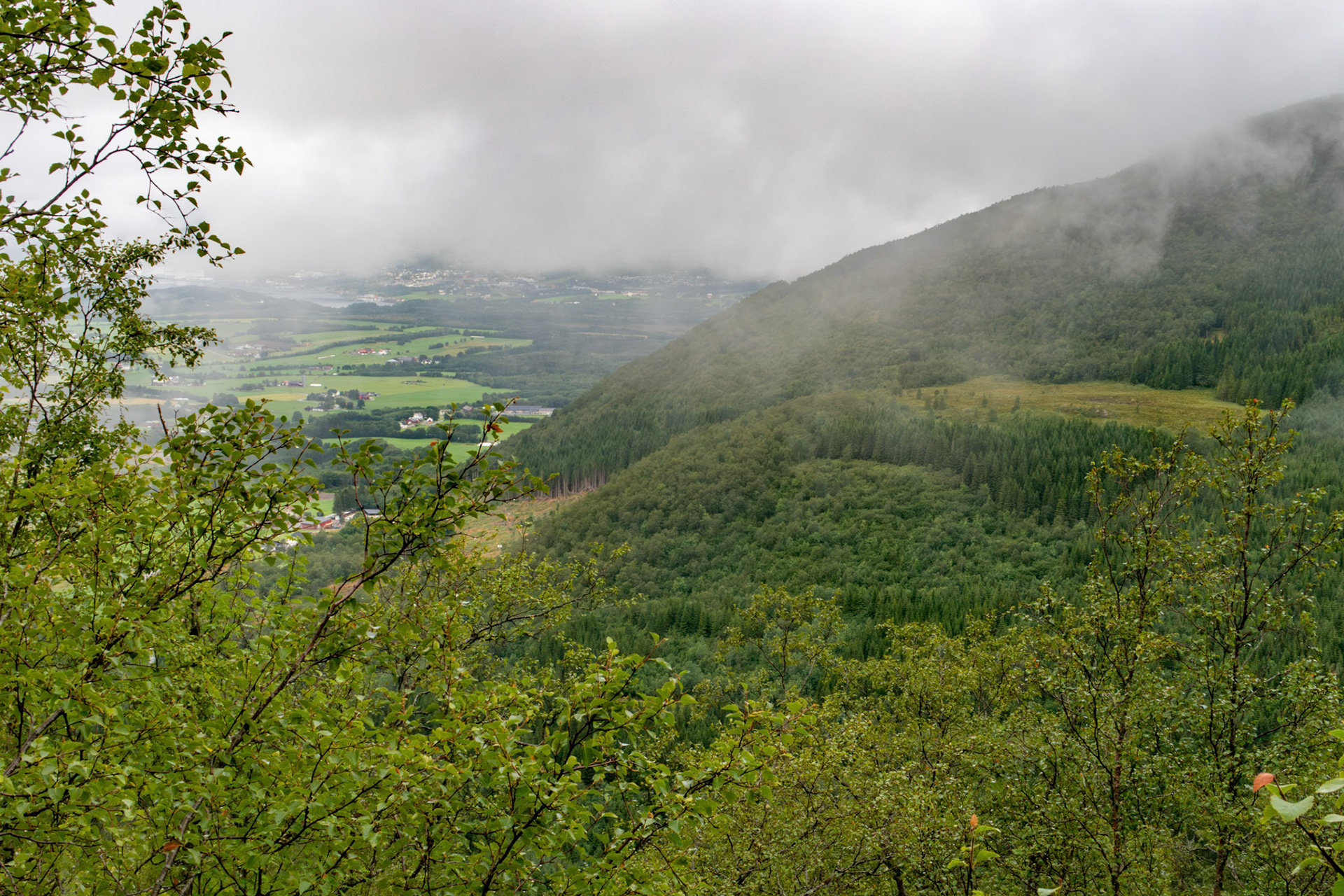 Birkeland og Dikeskarsmyra
