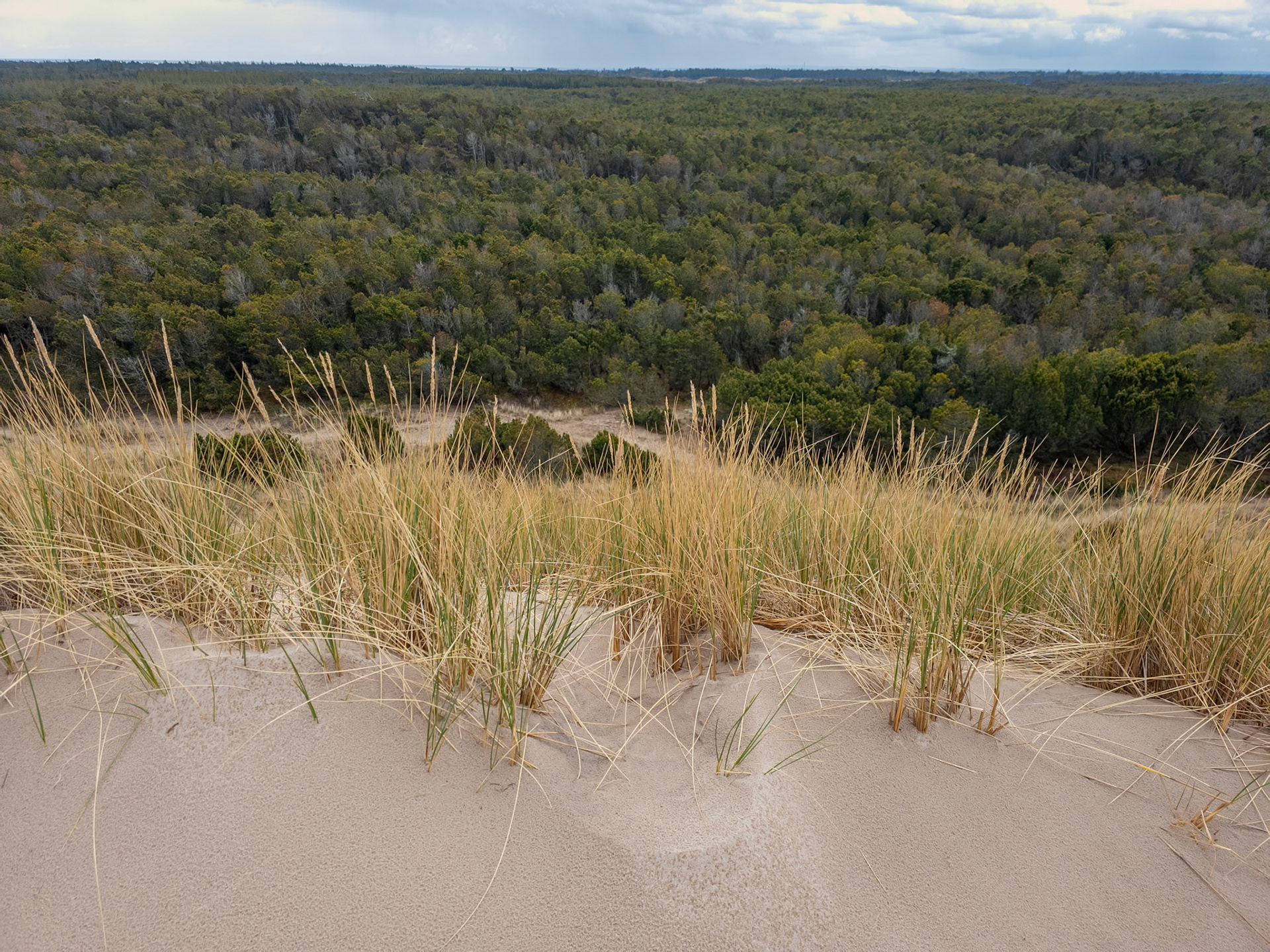 Skagen