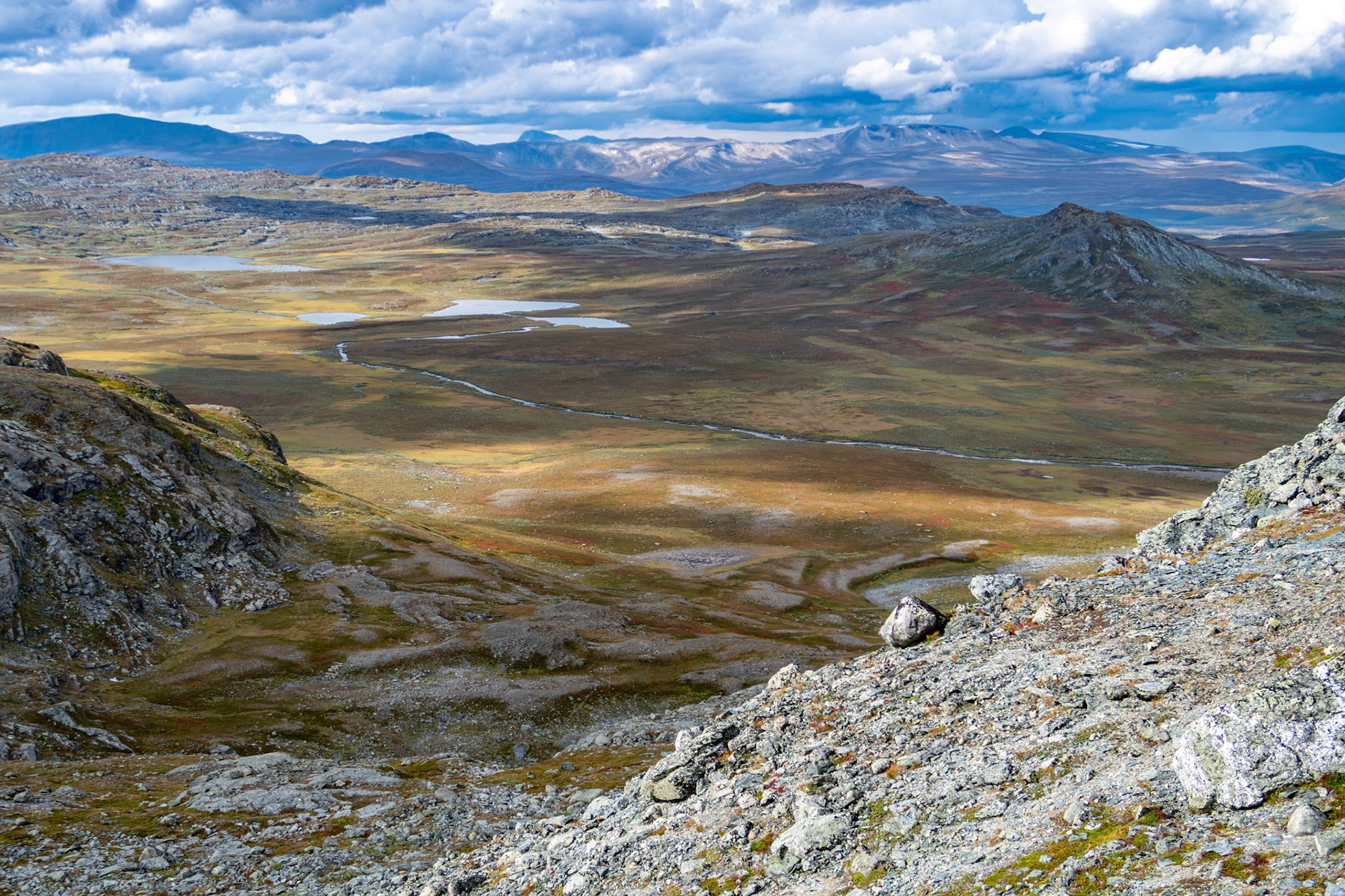 Storkolvet i Rennebu