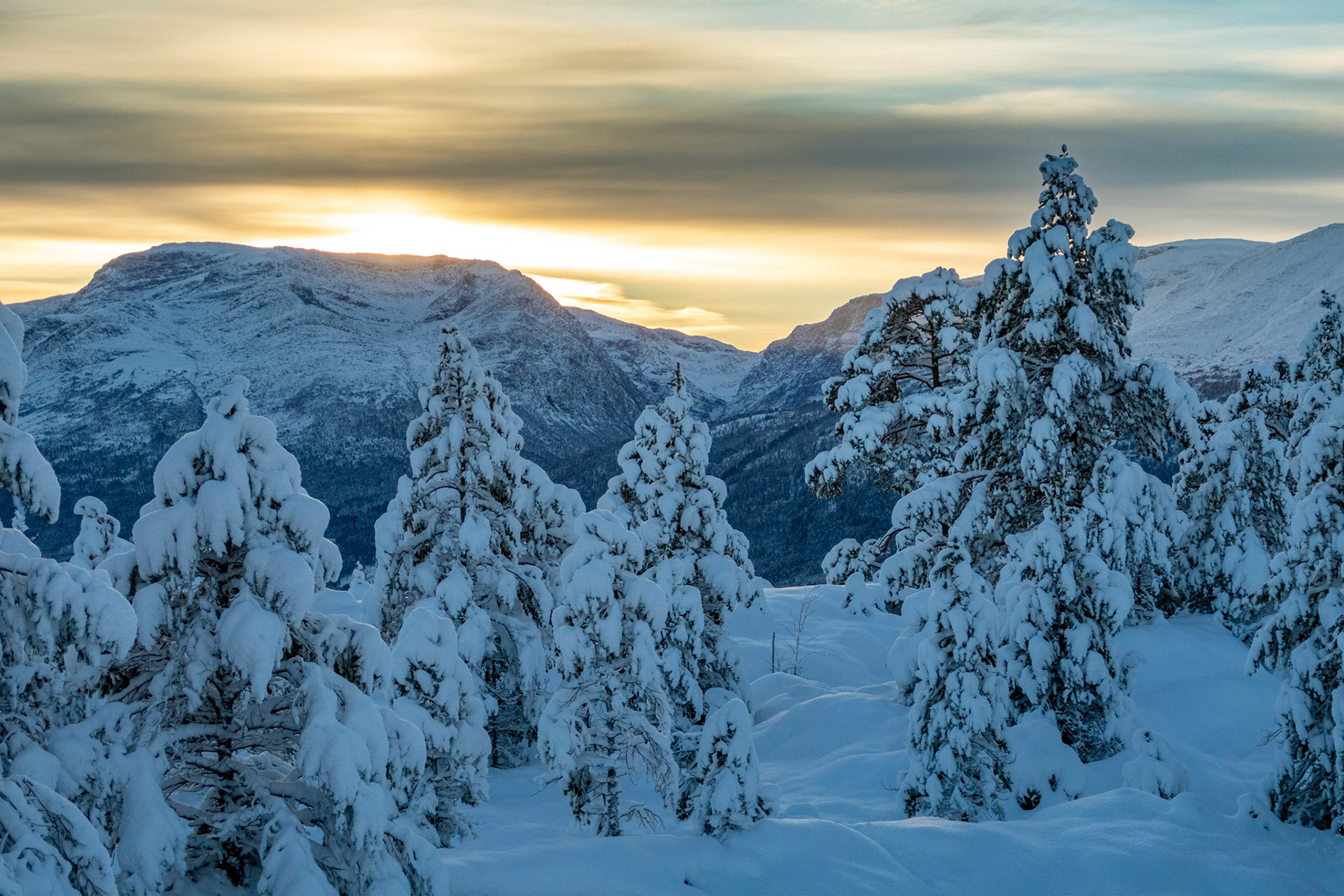 Bolberget mot Traudalsnibba