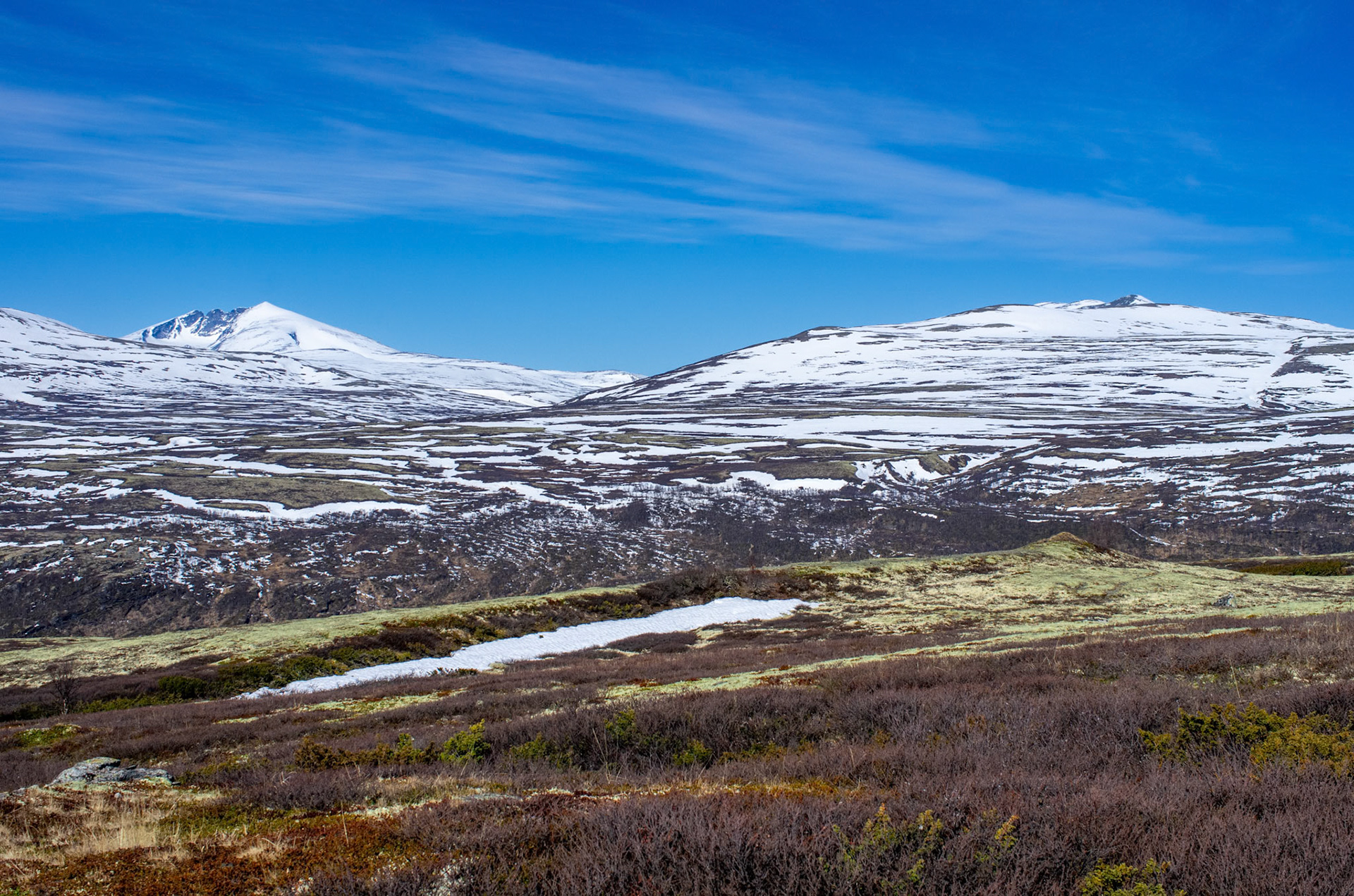 Snøhetta