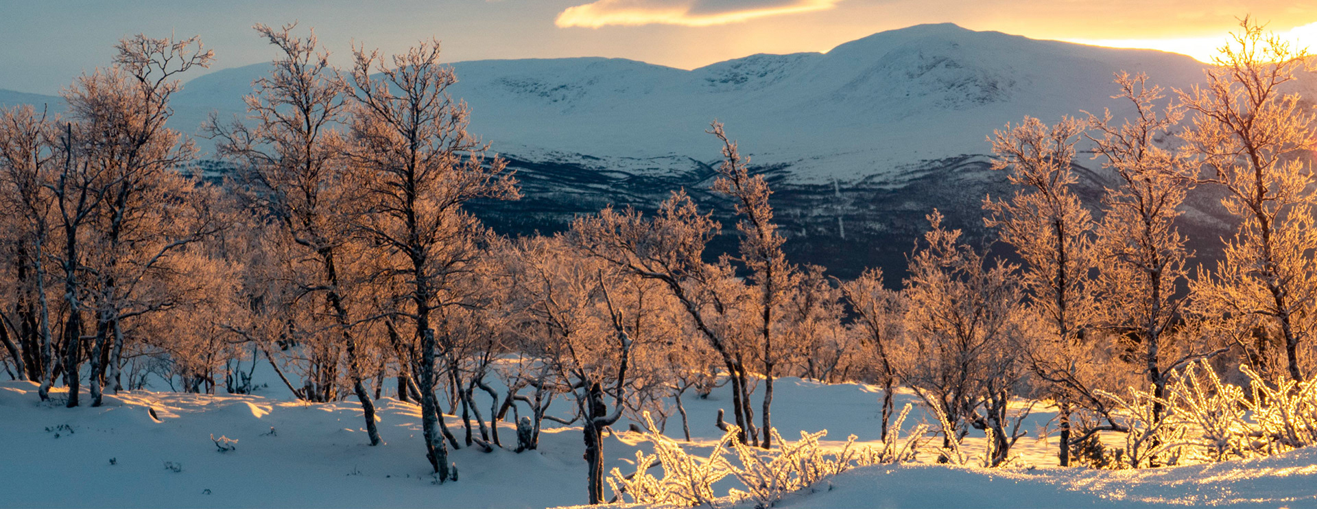 Sissihø fra Grytdalsskaret i Oppdal