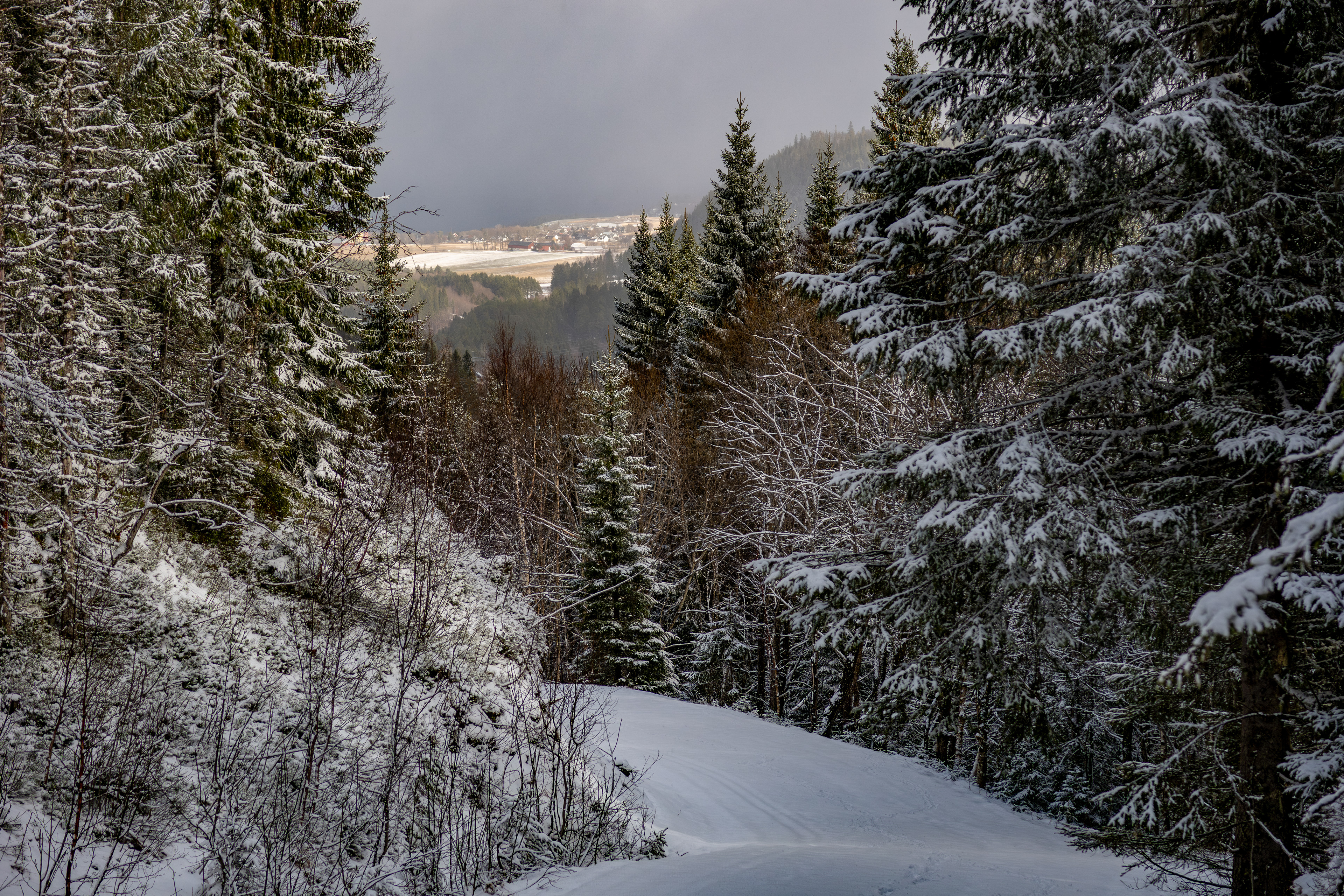 Estenstadmarka mot Reppe