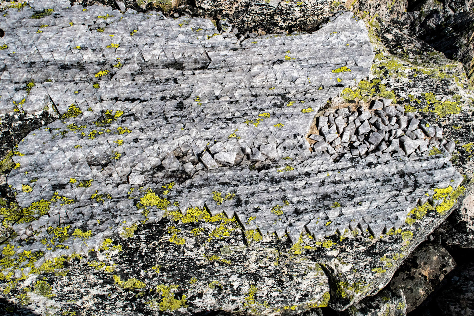 På Blåfjellet 1318