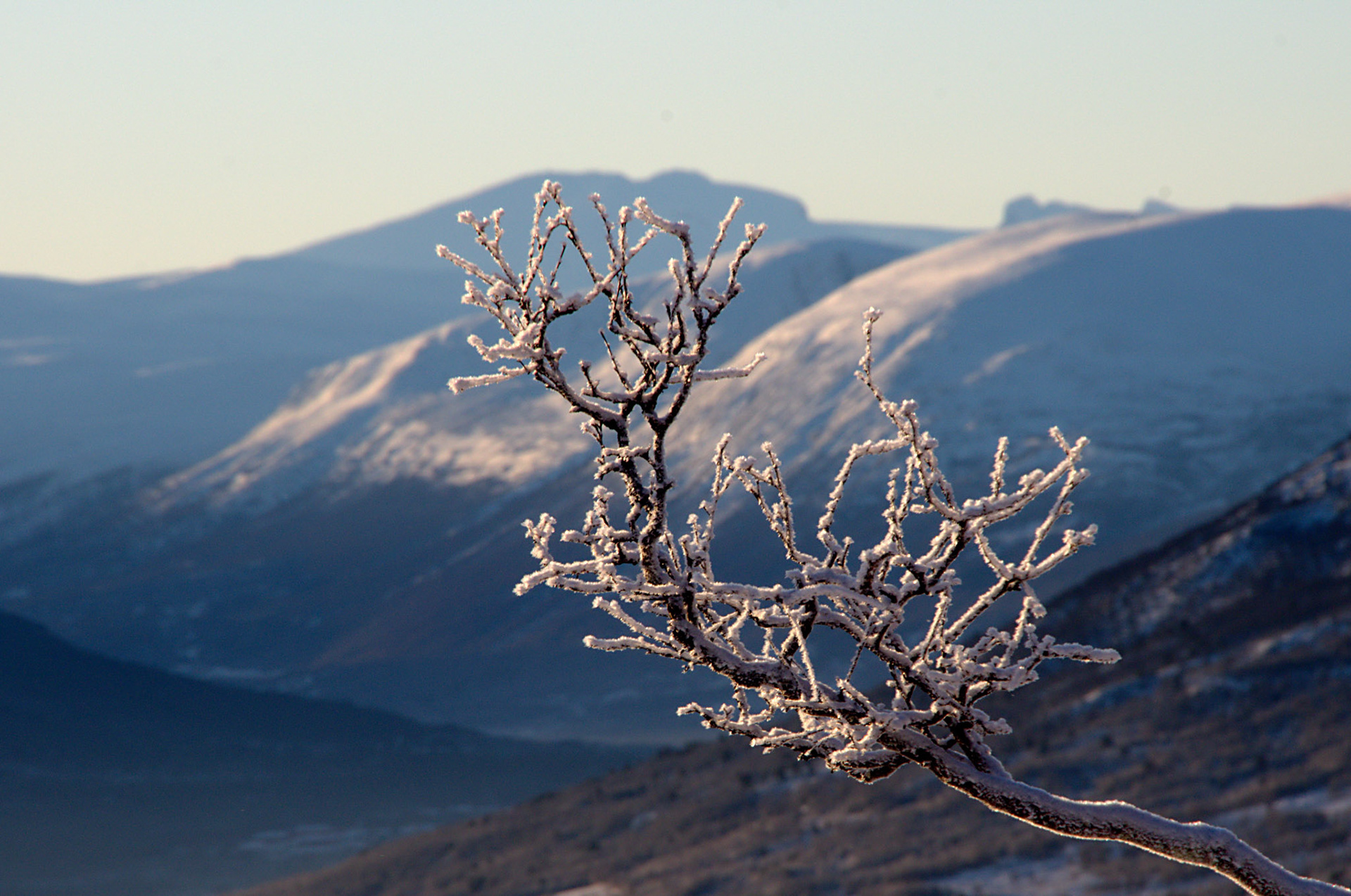 Vora mot Snøhetta