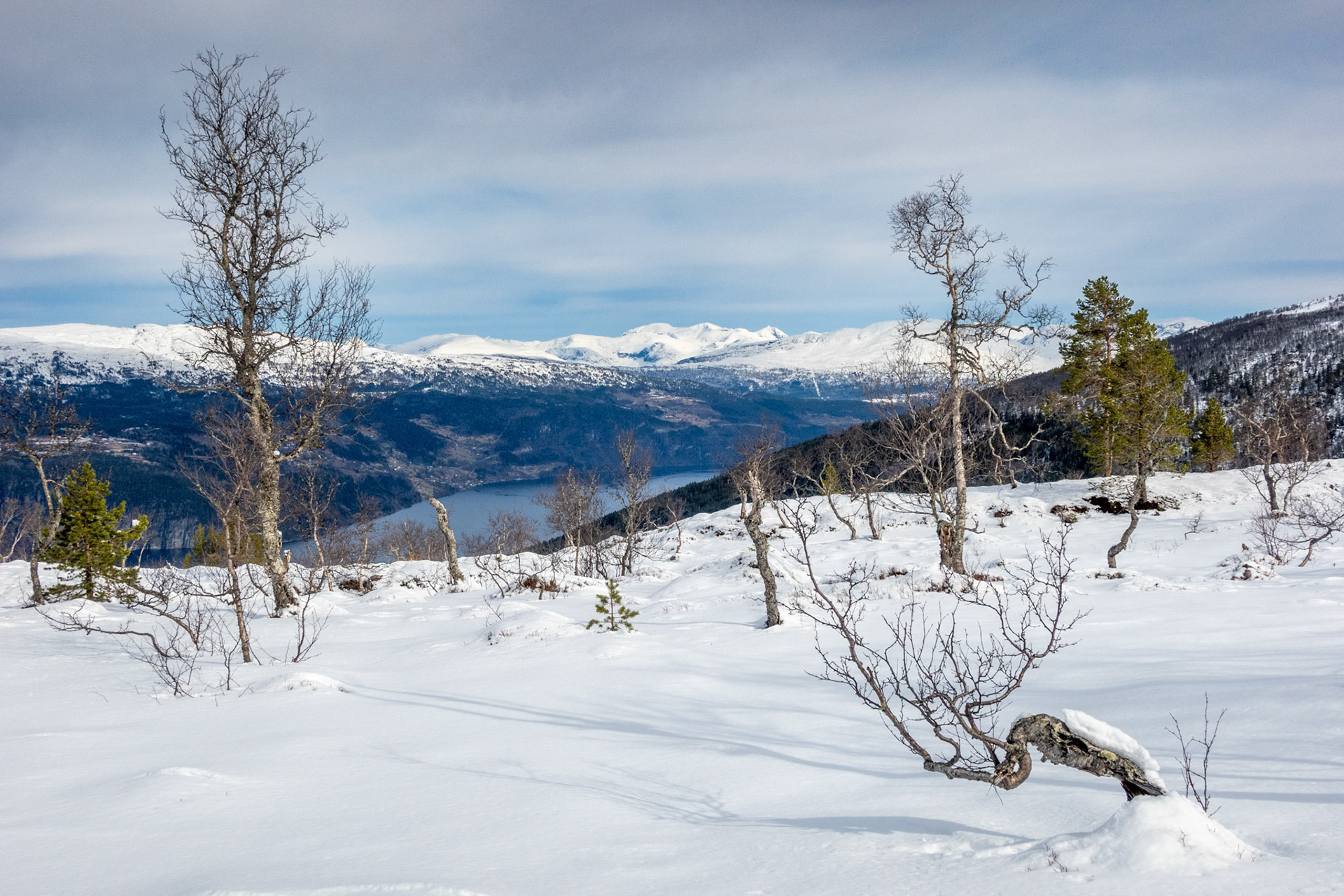 Storhornet 1600 i det fjerne