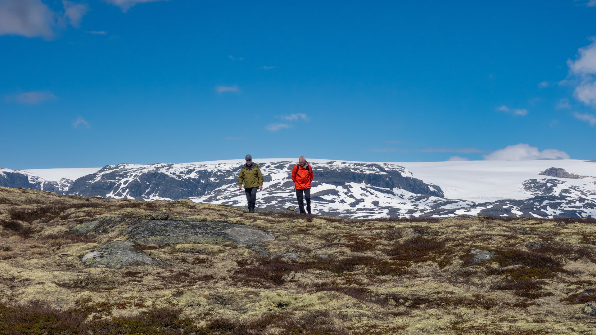 Hardangerjøkulen