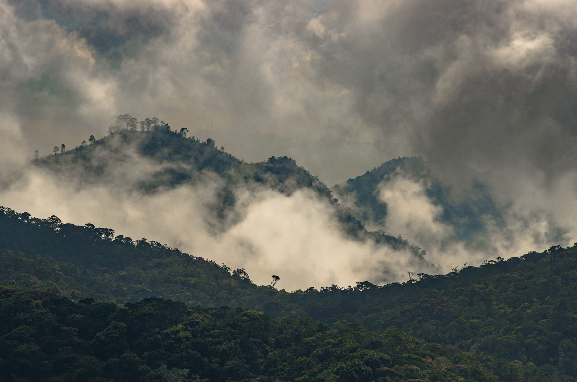 Horton plains Sri Lanka
