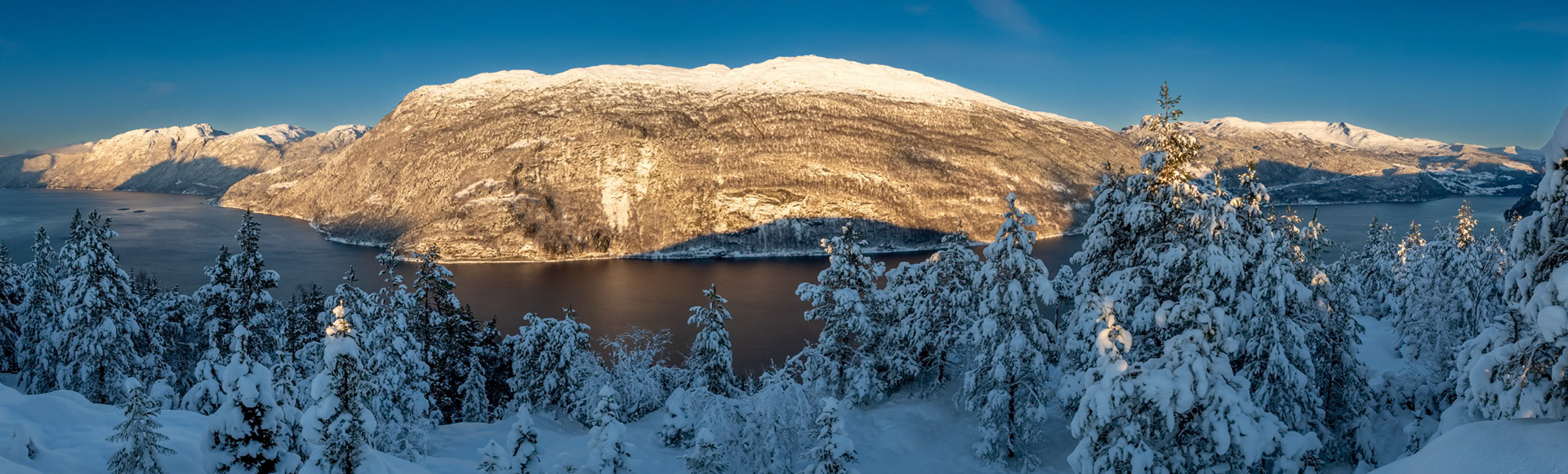 Svartegga fra Bolberget