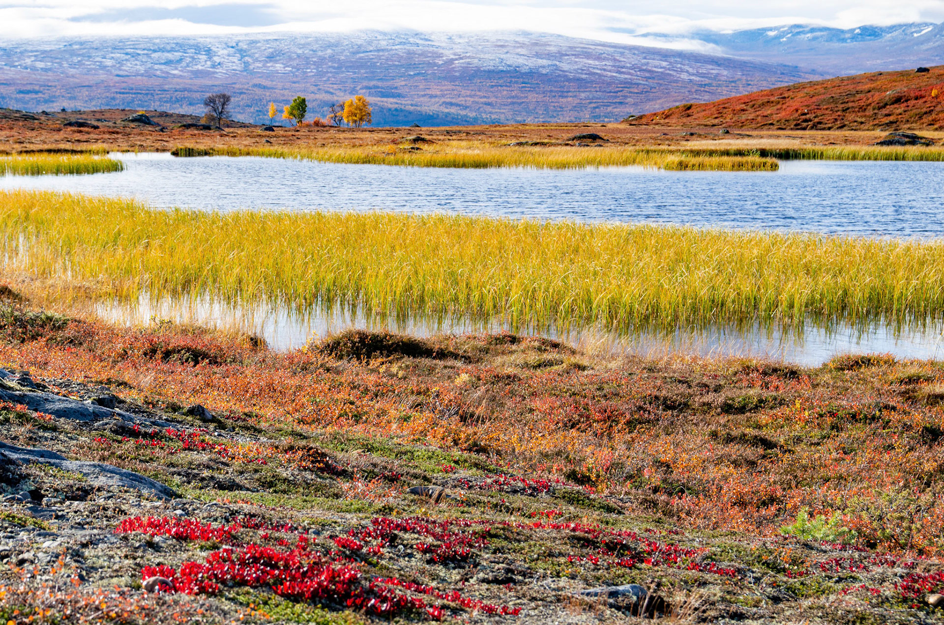 Kvernbekktjønna på Vora i Oppdal