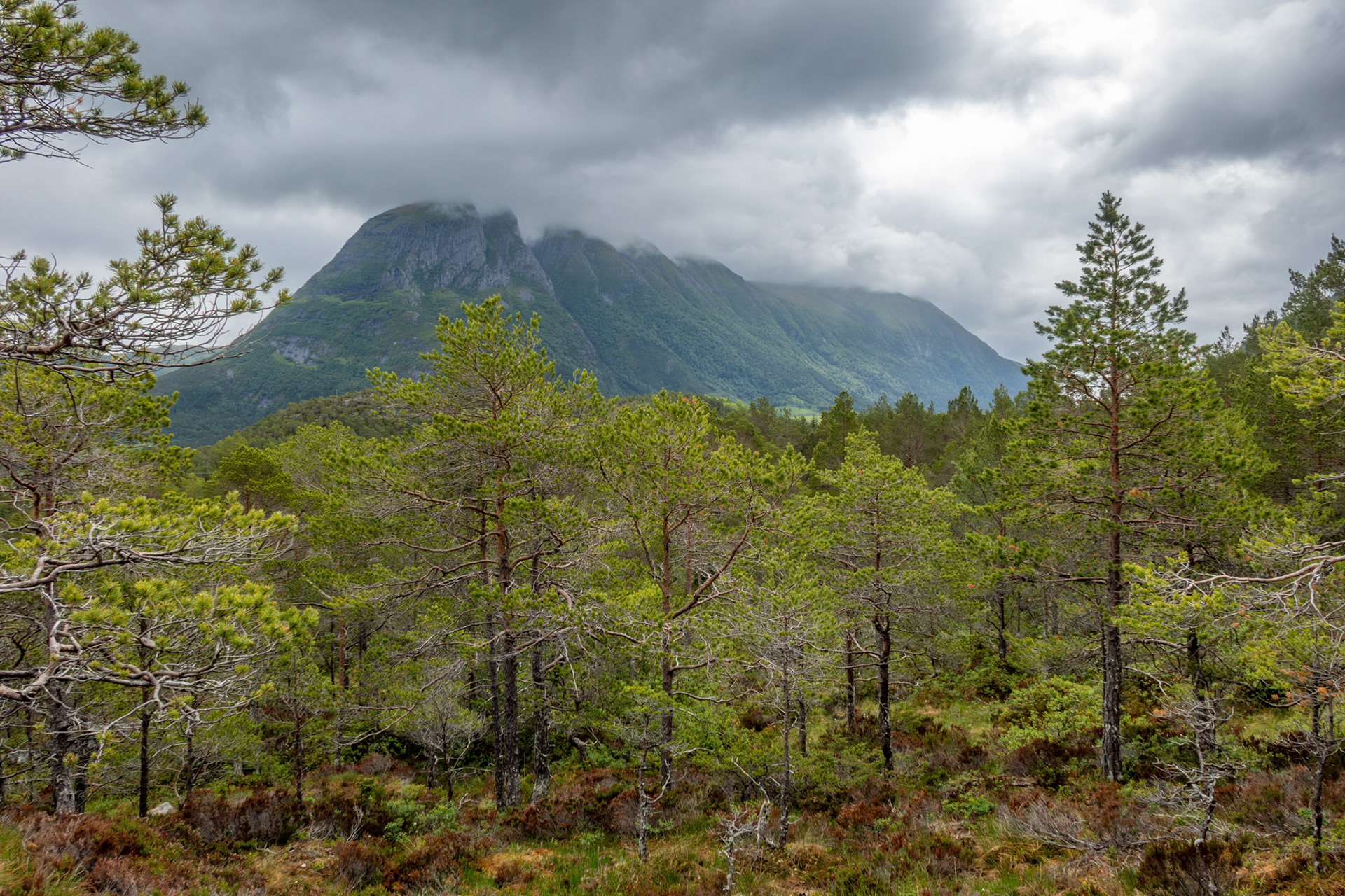 Innerbergsalen