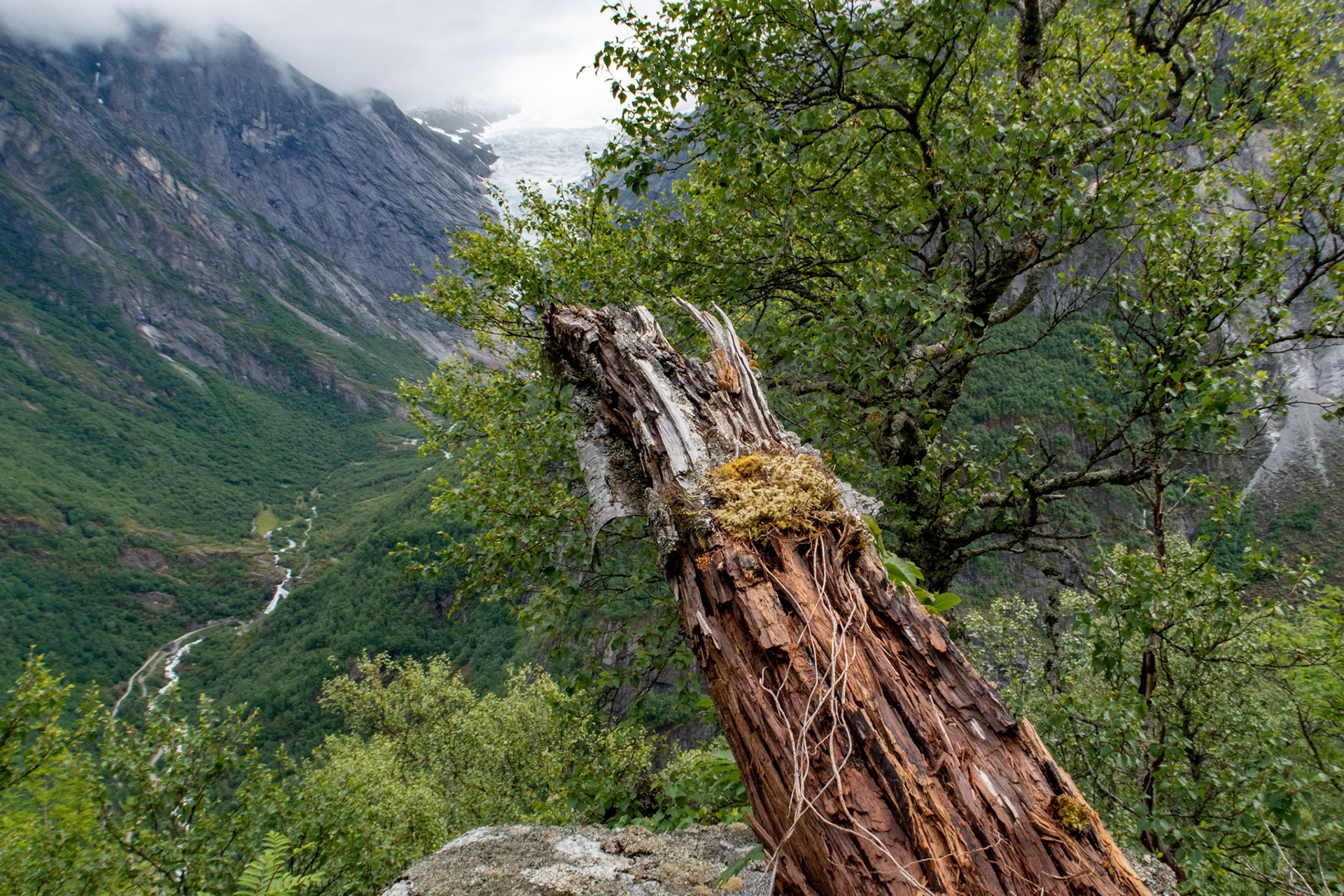 Briksdalsbreen ved Olden