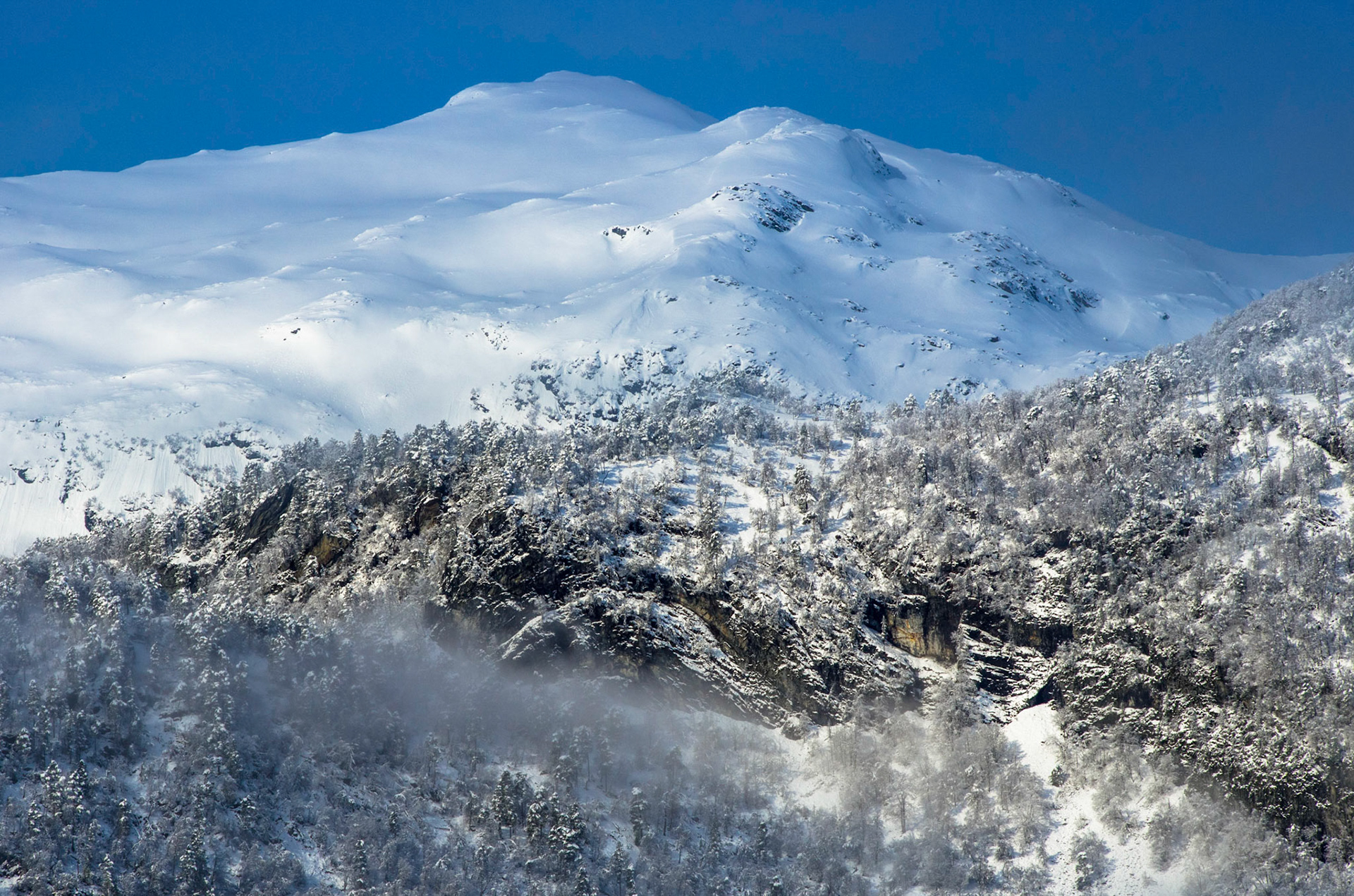 Reinekallen i Gloppen